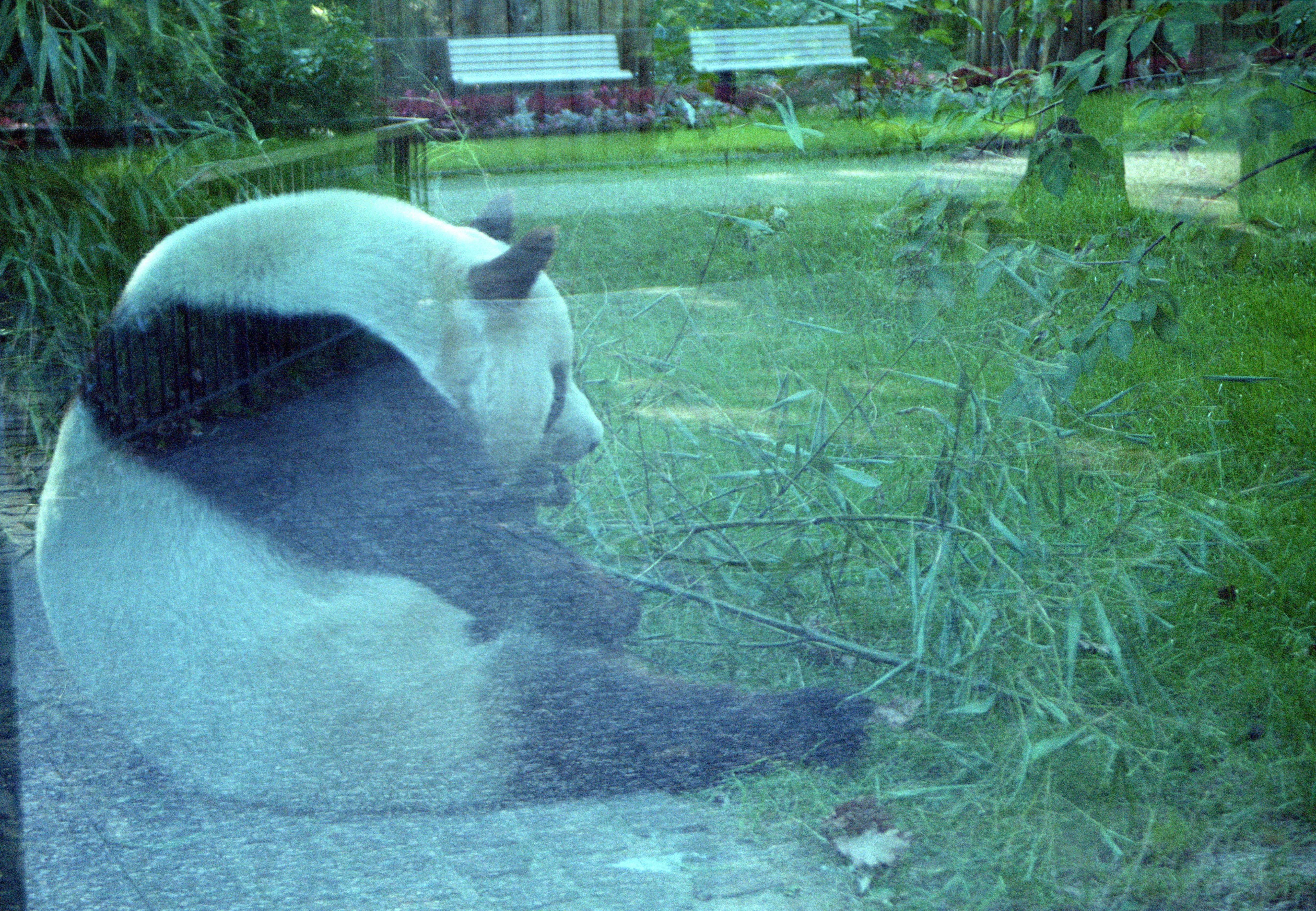 Zoo Berlin