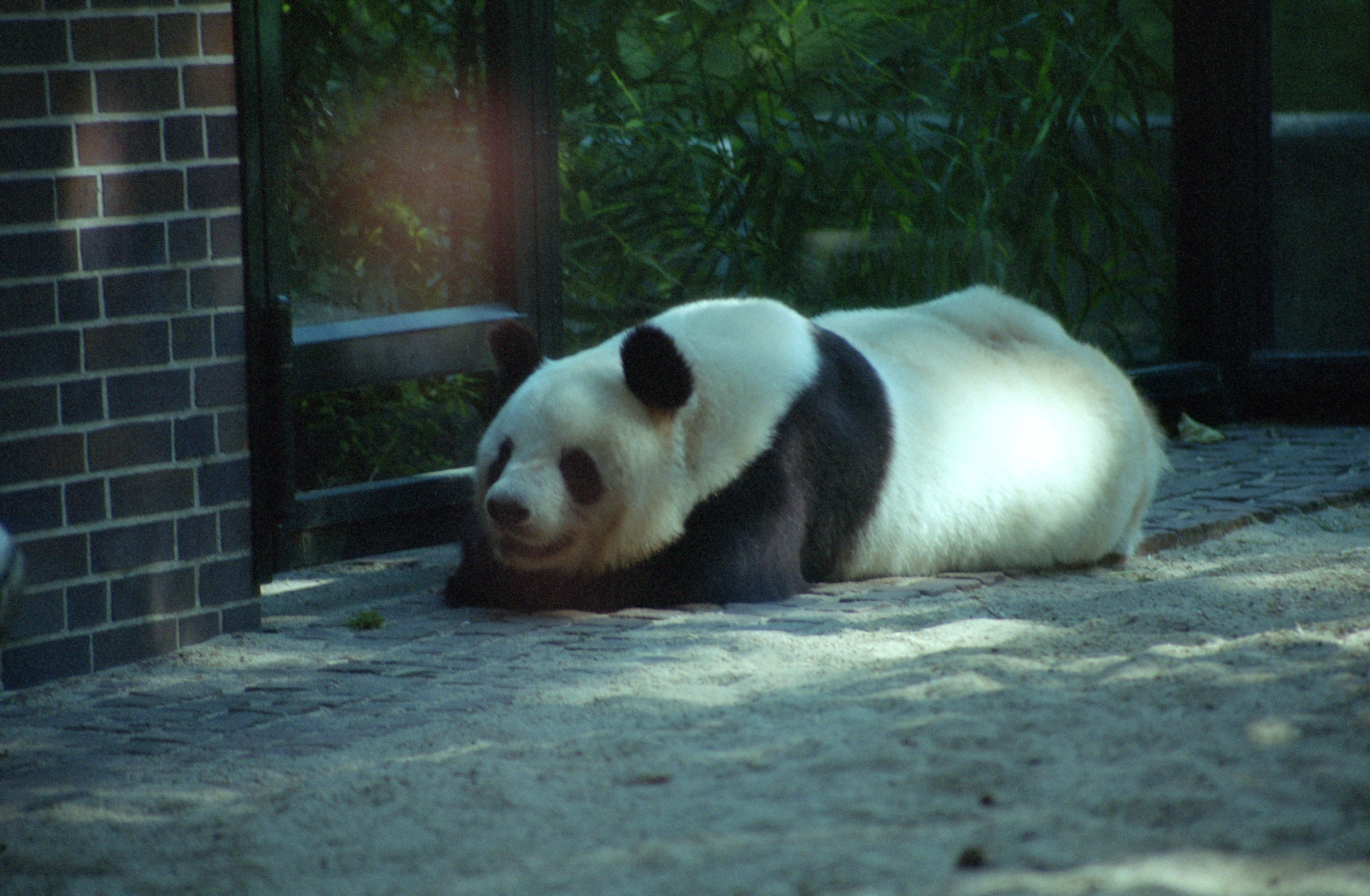 Zoo Berlin