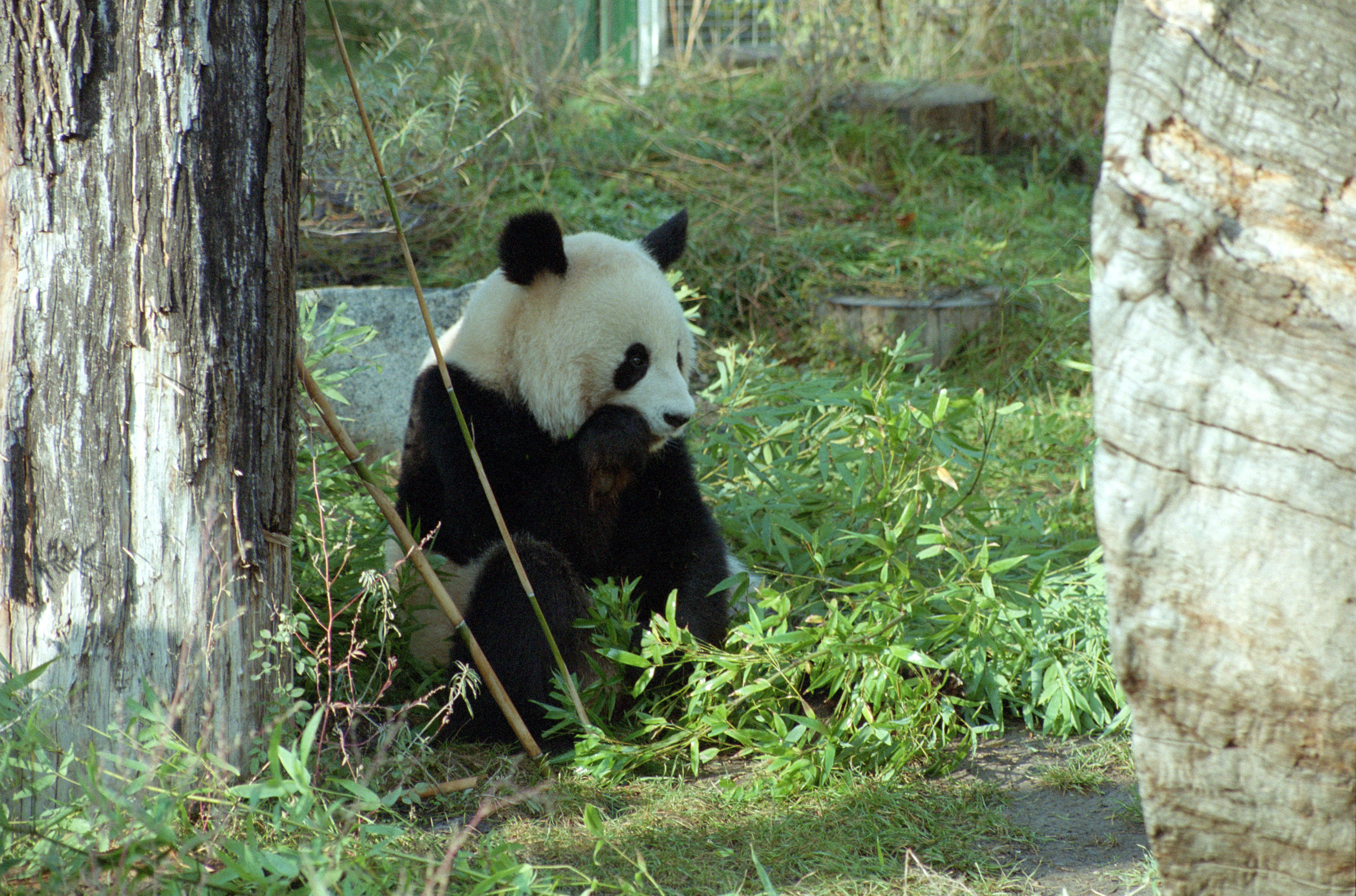Tiergarten Schönbrunn