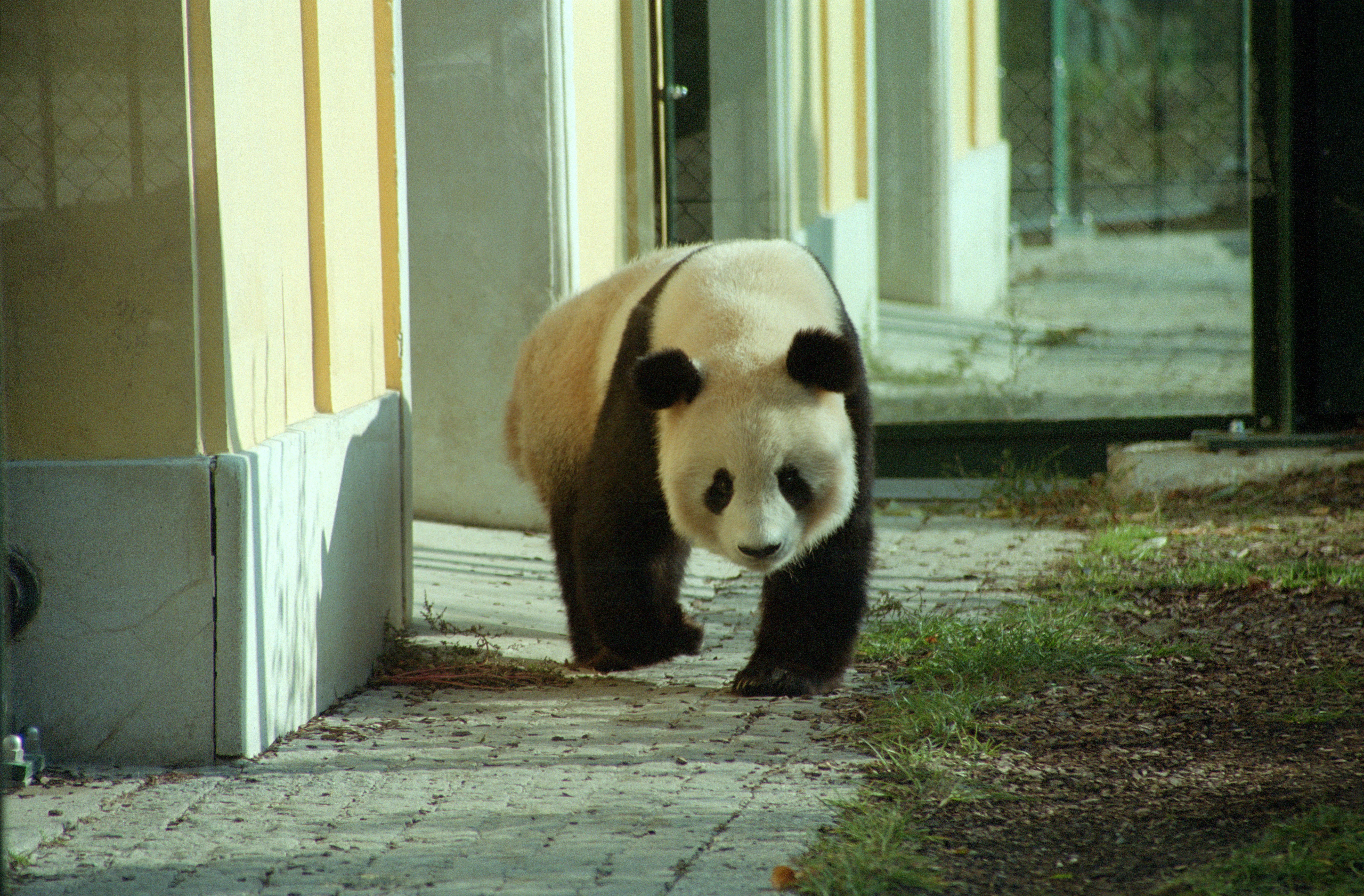 Tiergarten Schönbrunn