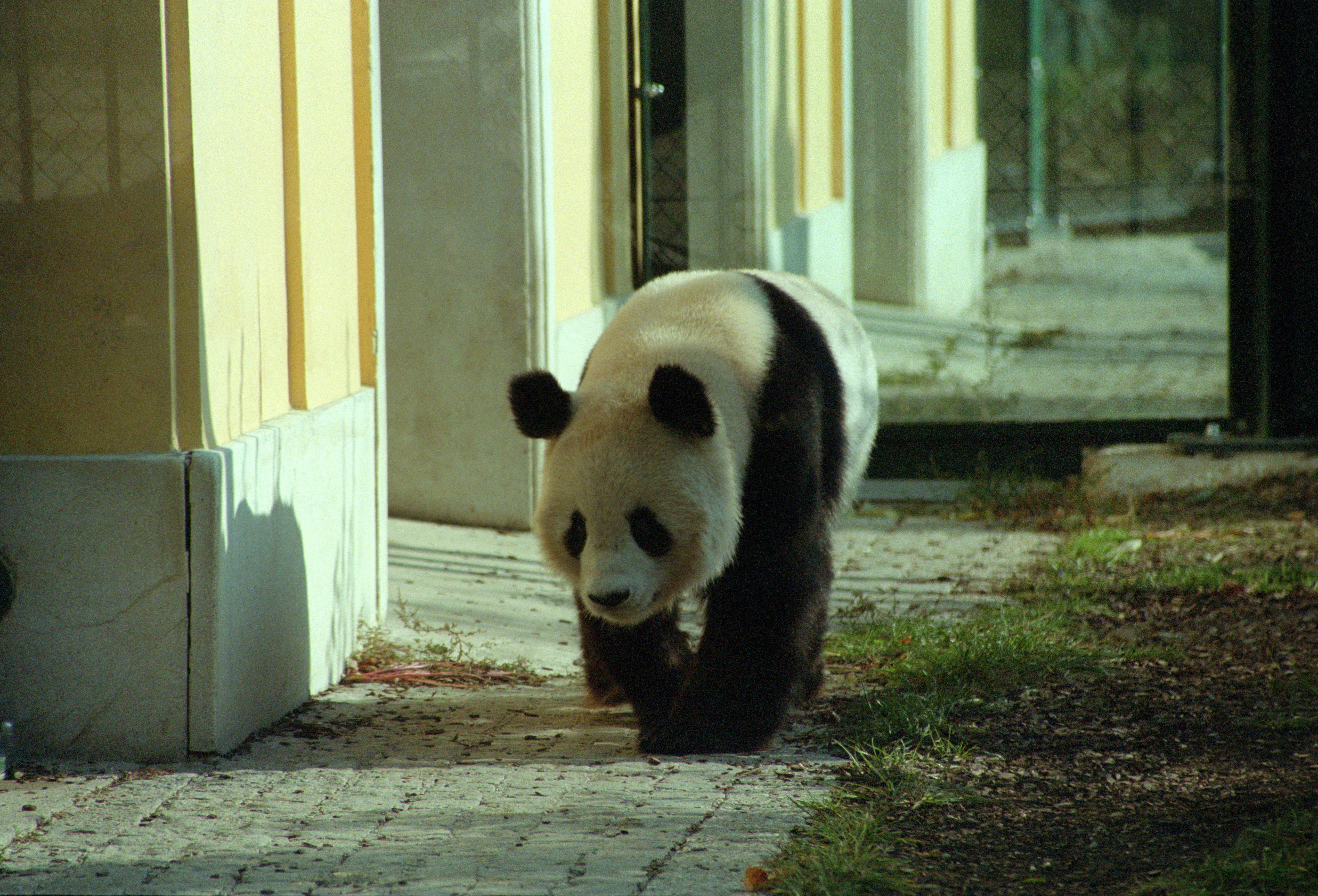 Tiergarten Schönbrunn