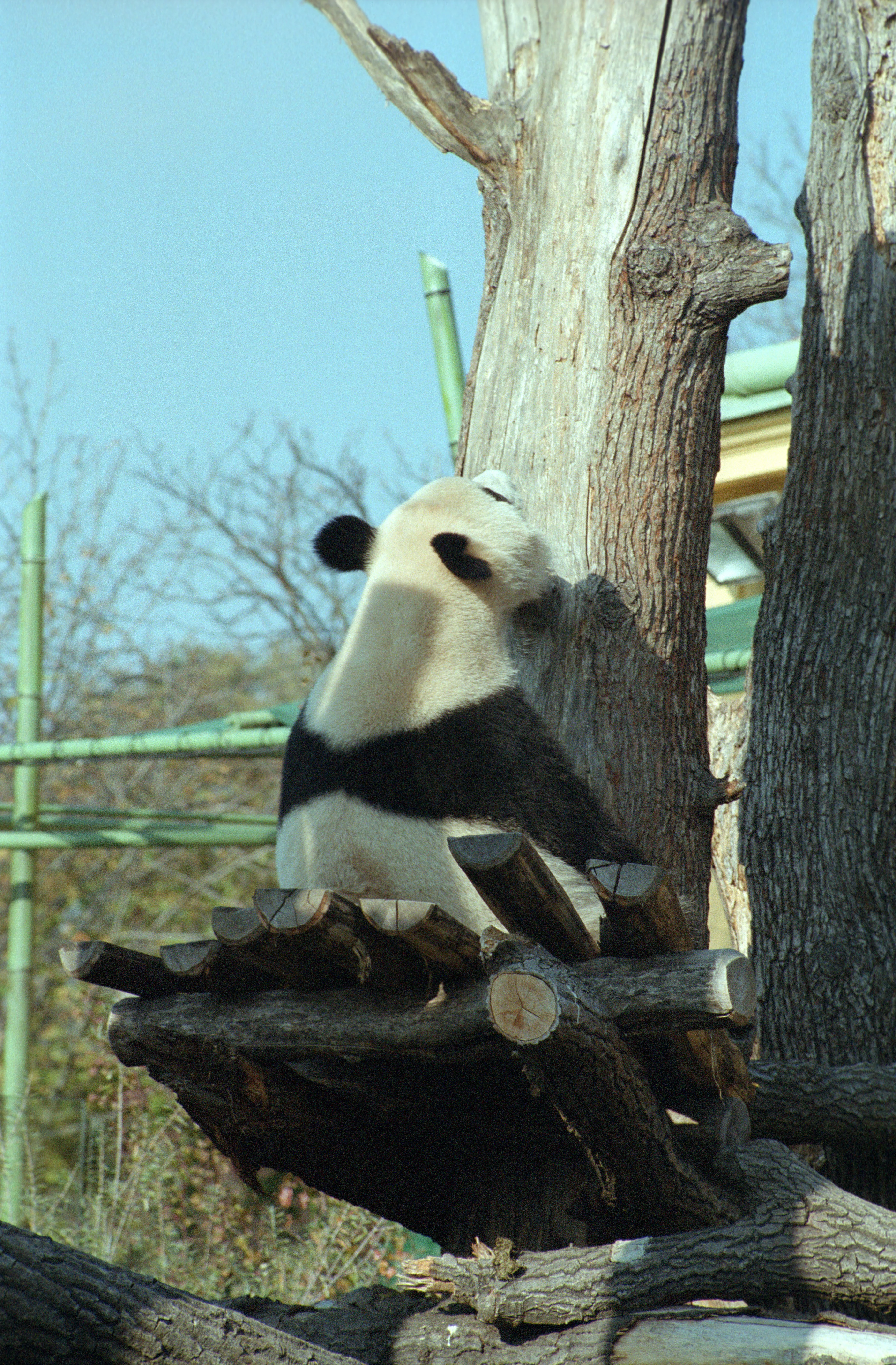 Tiergarten Schönbrunn