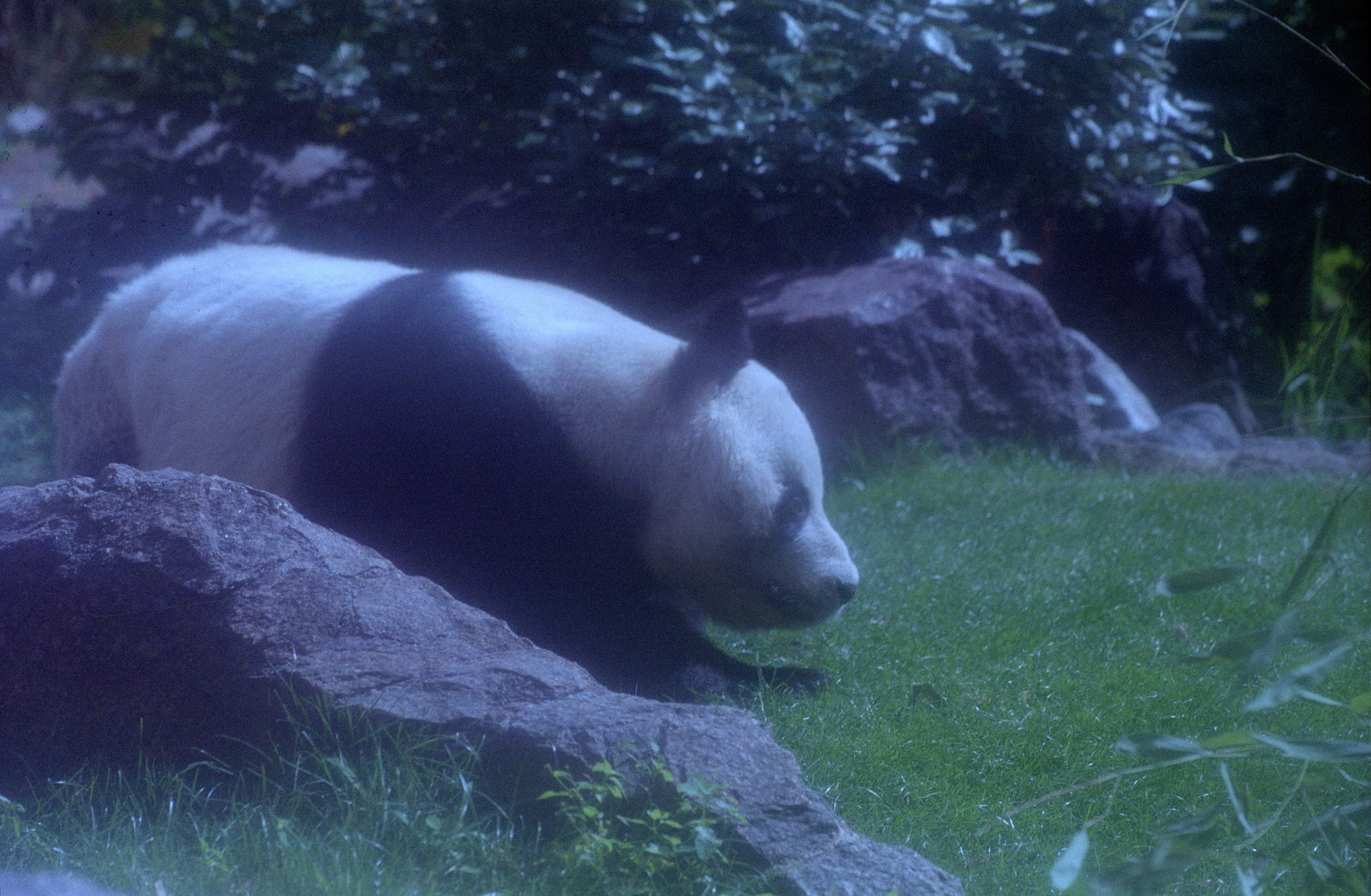 Zoo Berlin