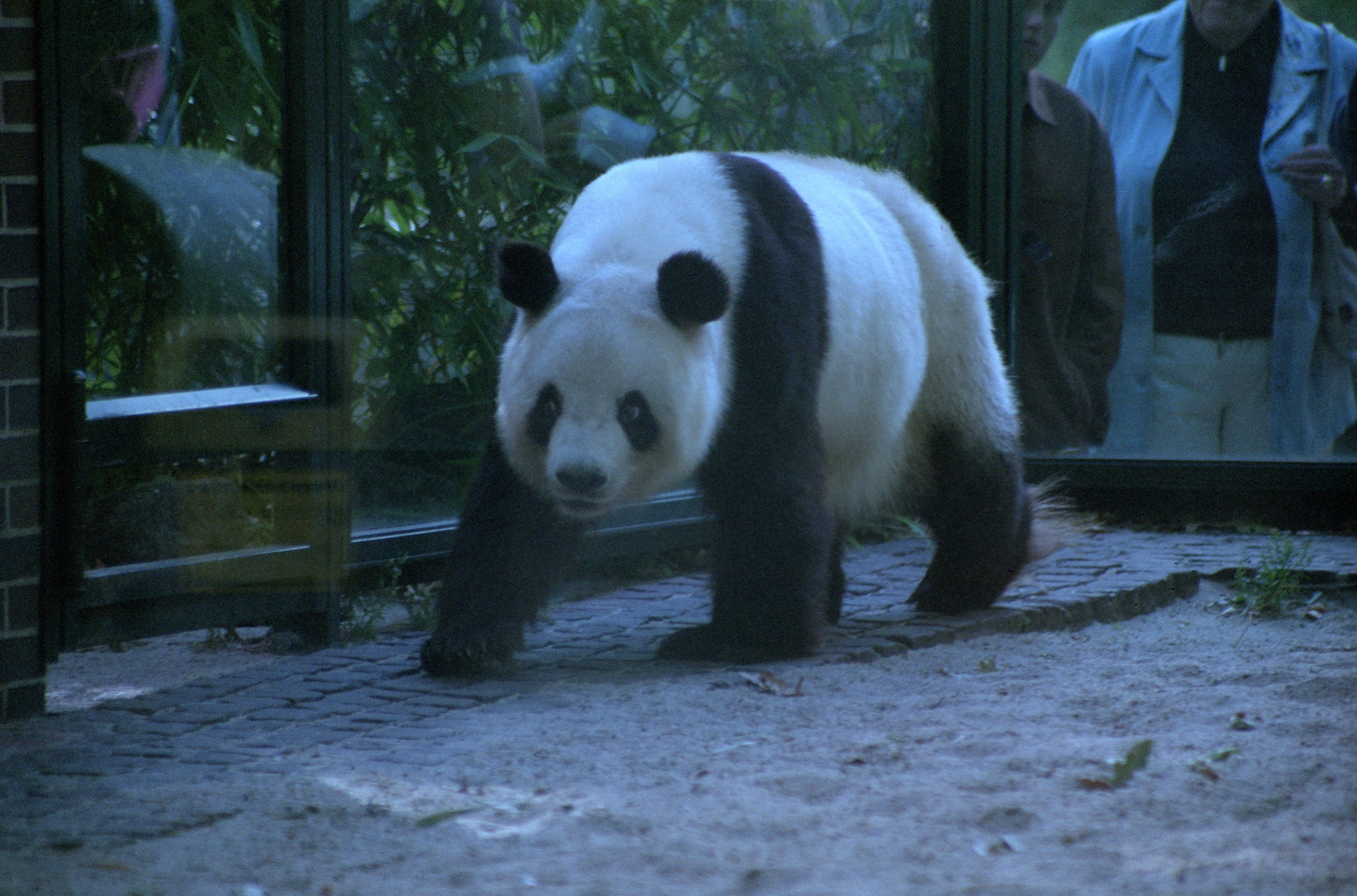 Zoo Berlin