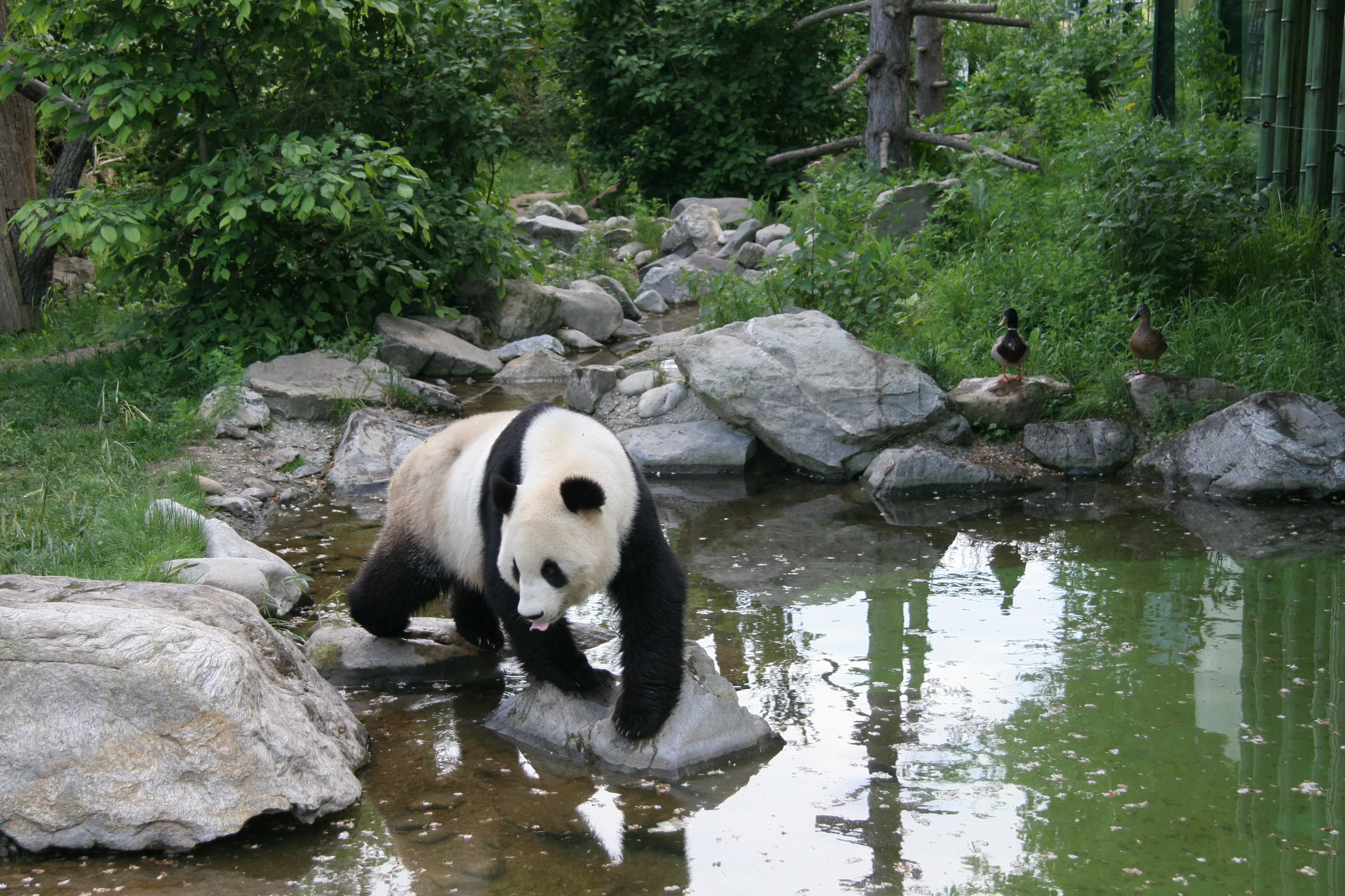 Tiergarten Schönbrunn
