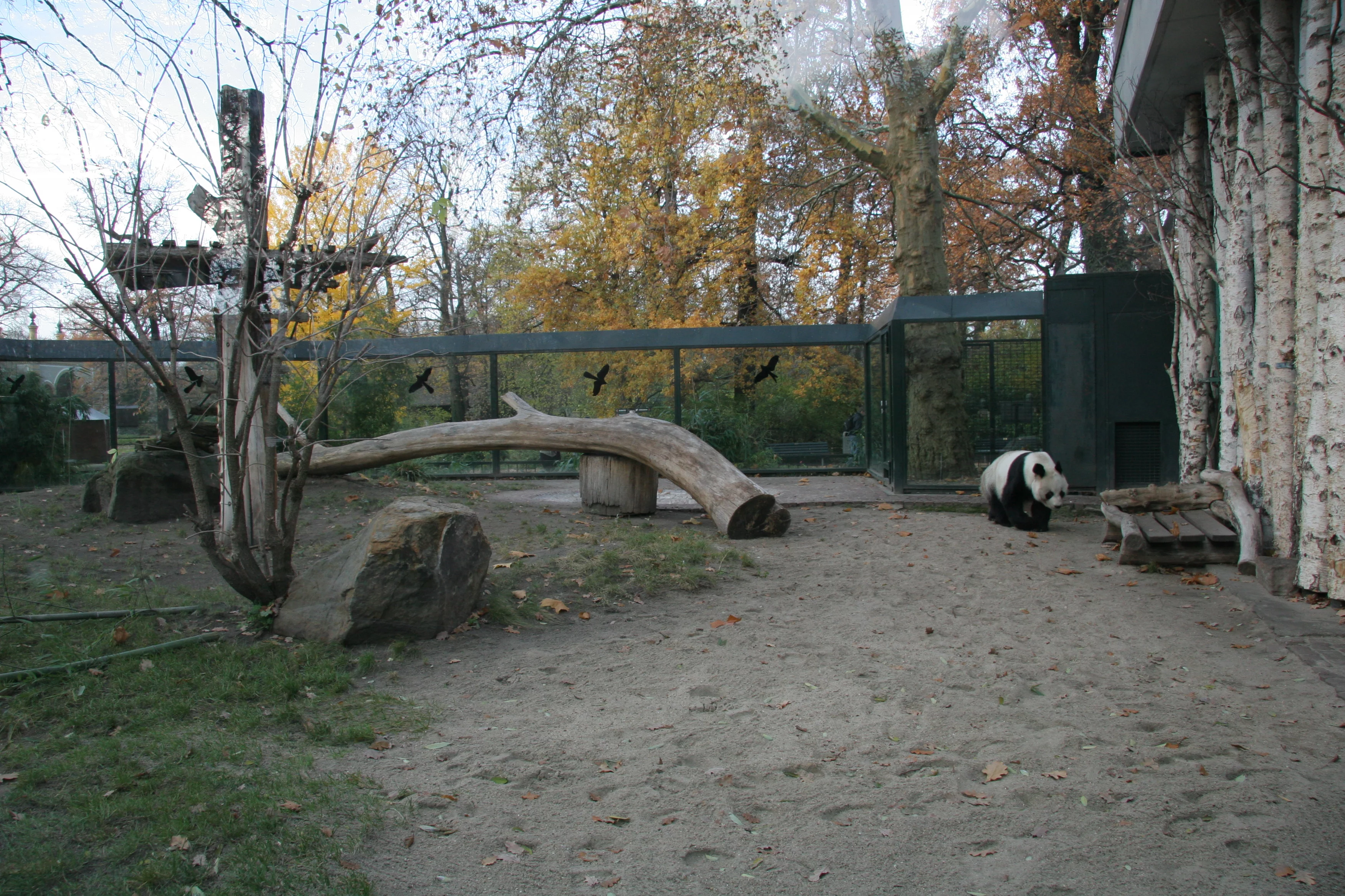 Zoo Berlin