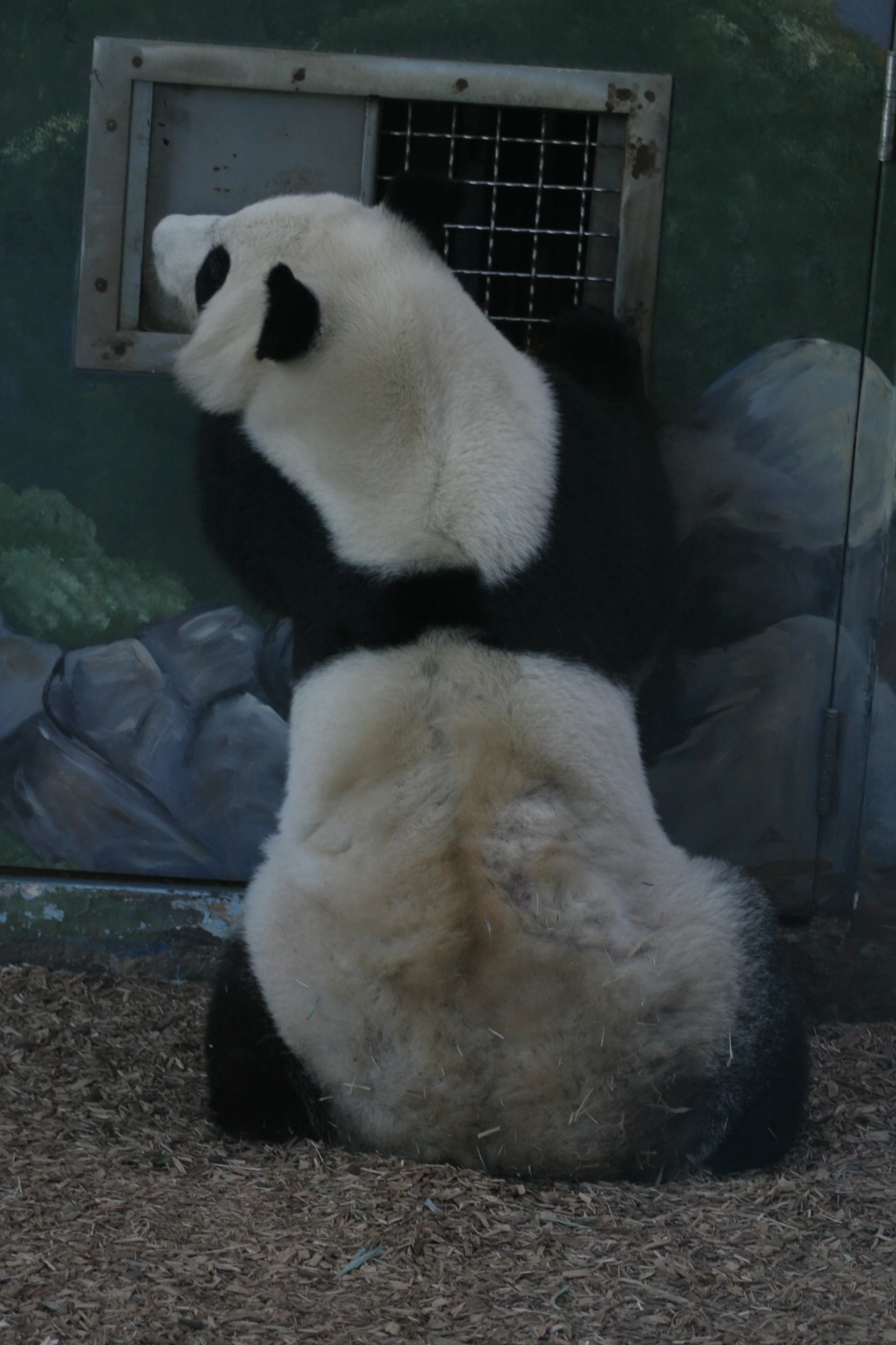 Zoo Atlanta