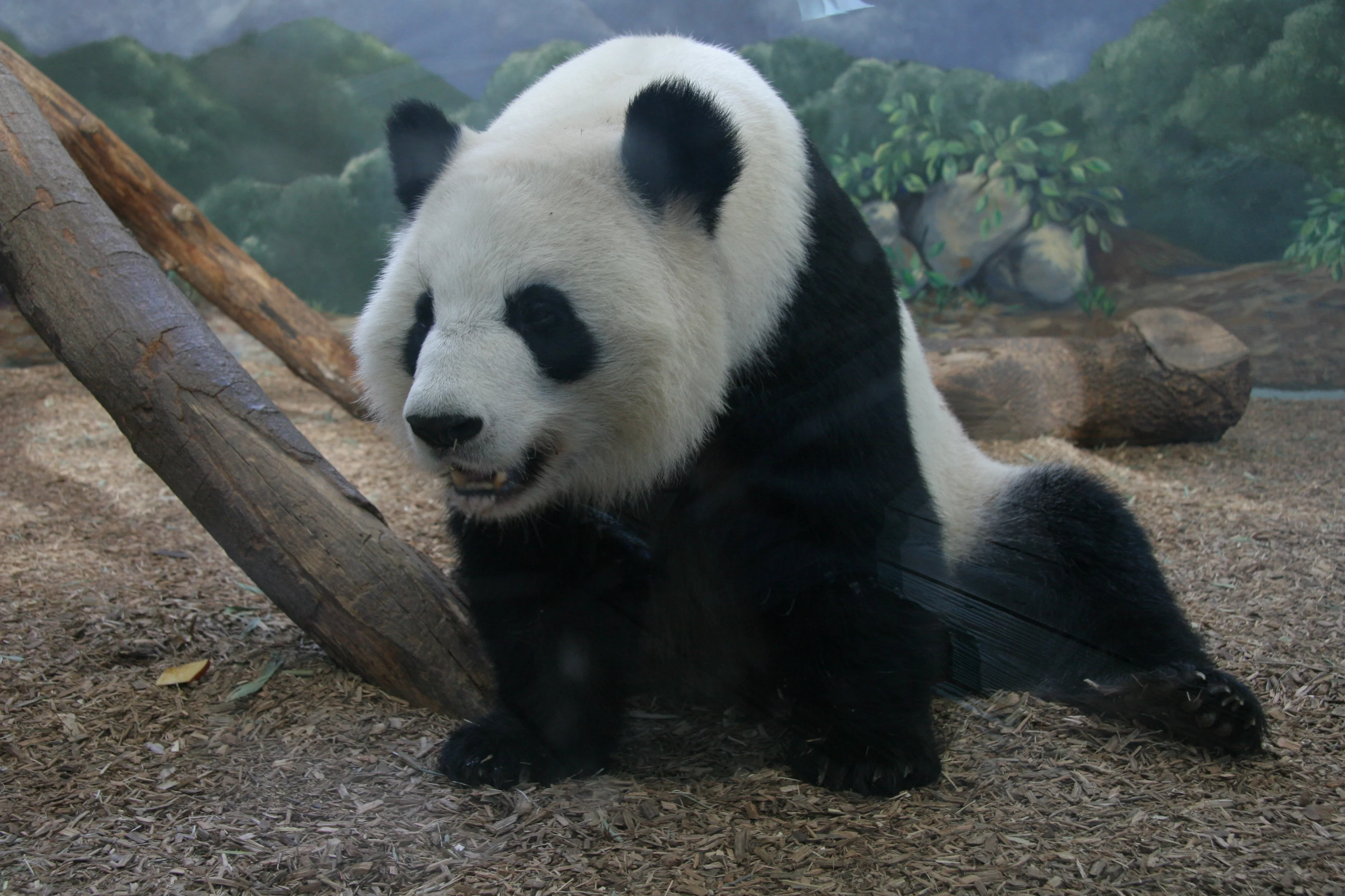 Zoo Atlanta