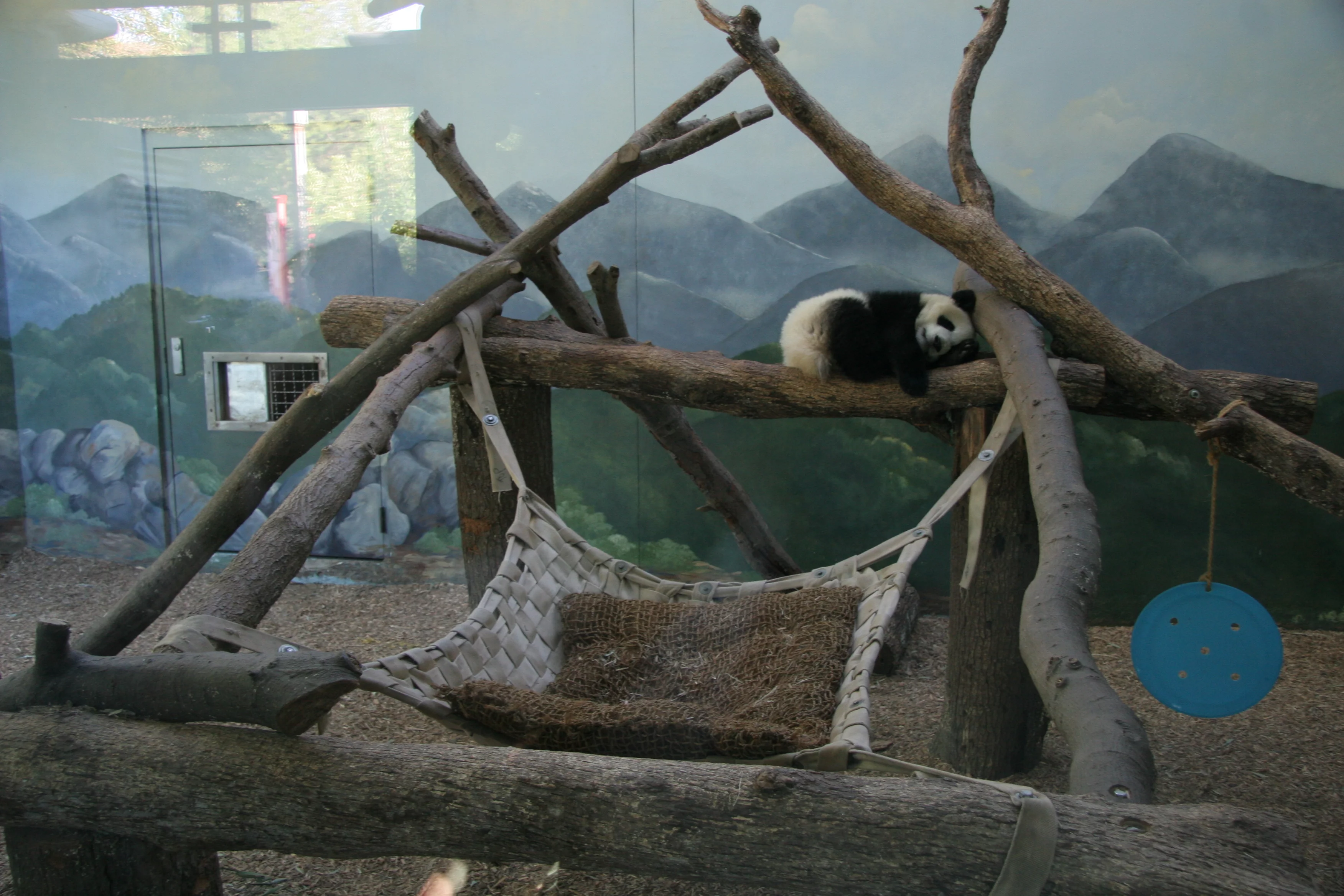 Zoo Atlanta