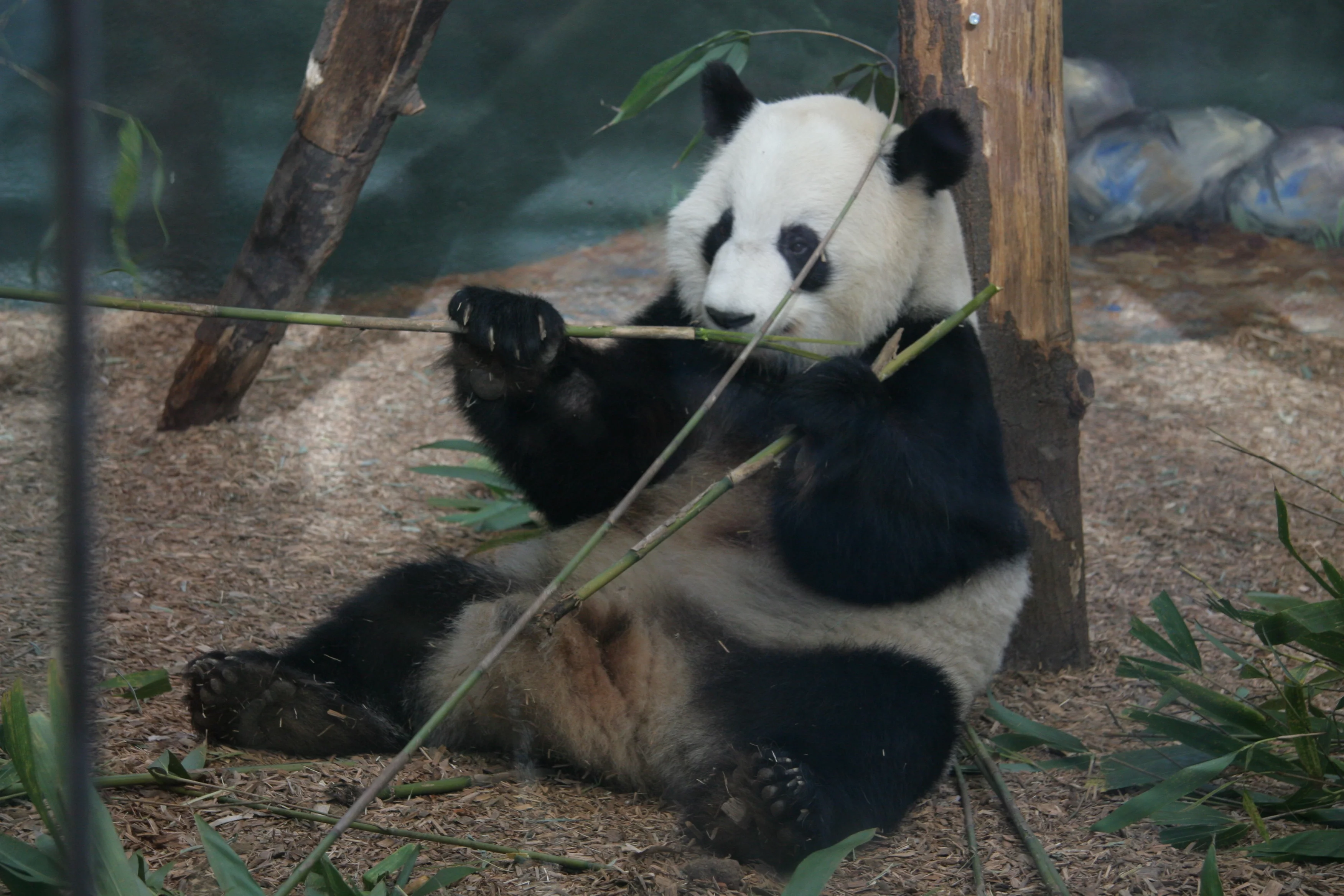 Zoo Atlanta