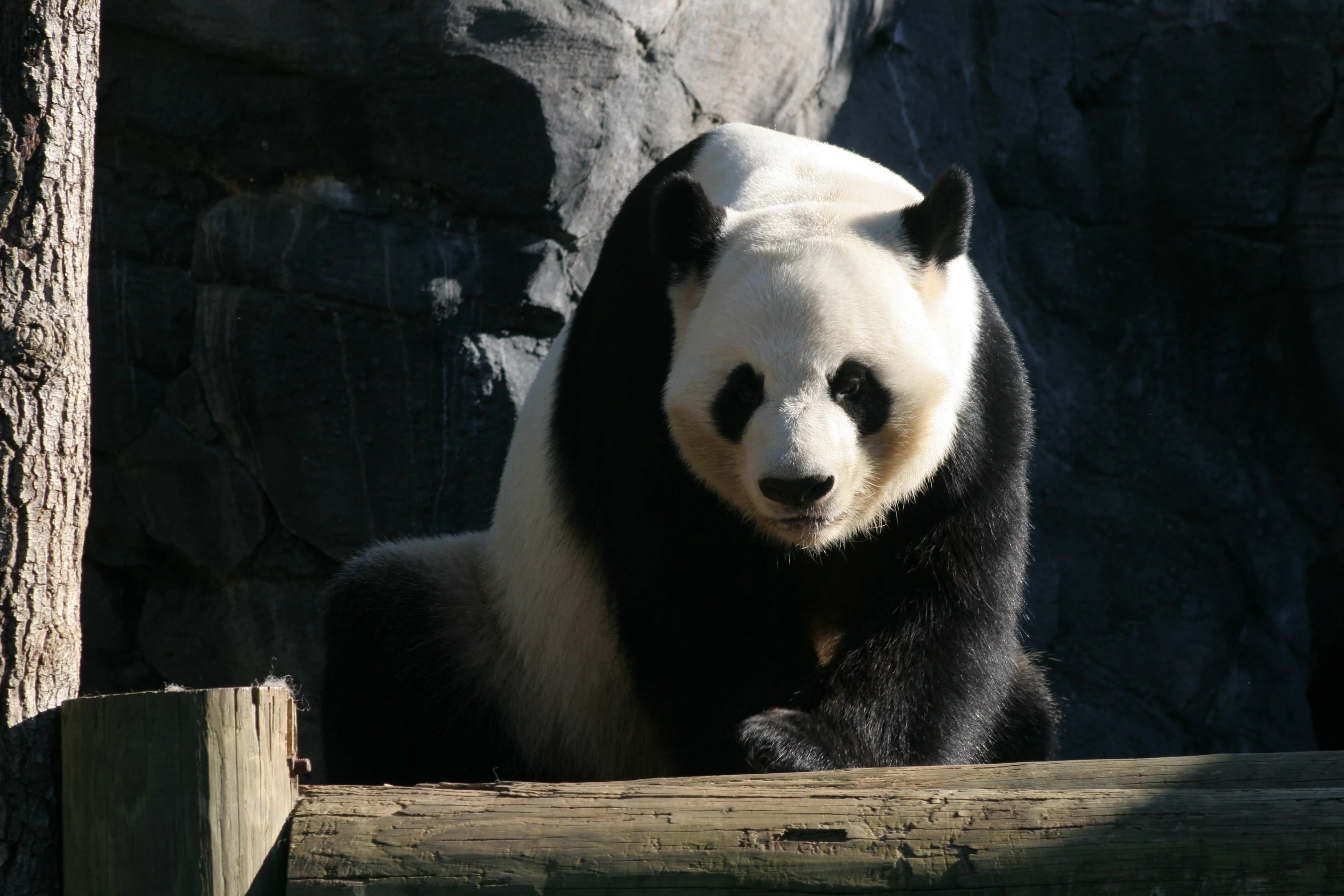 Zoo Atlanta