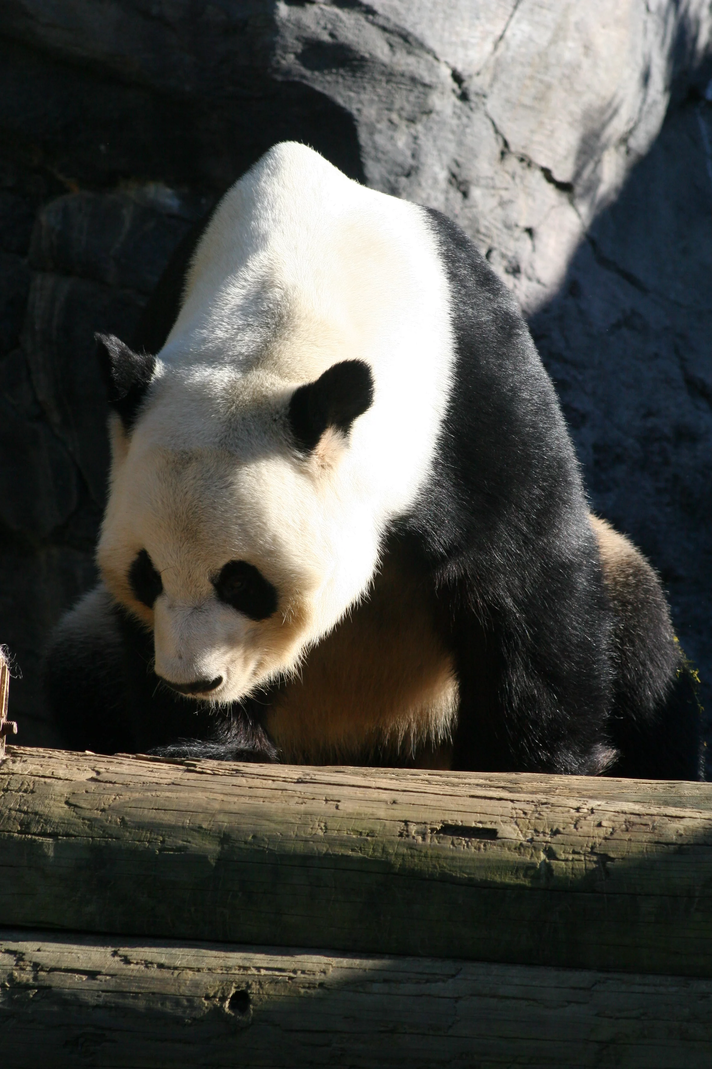 Zoo Atlanta