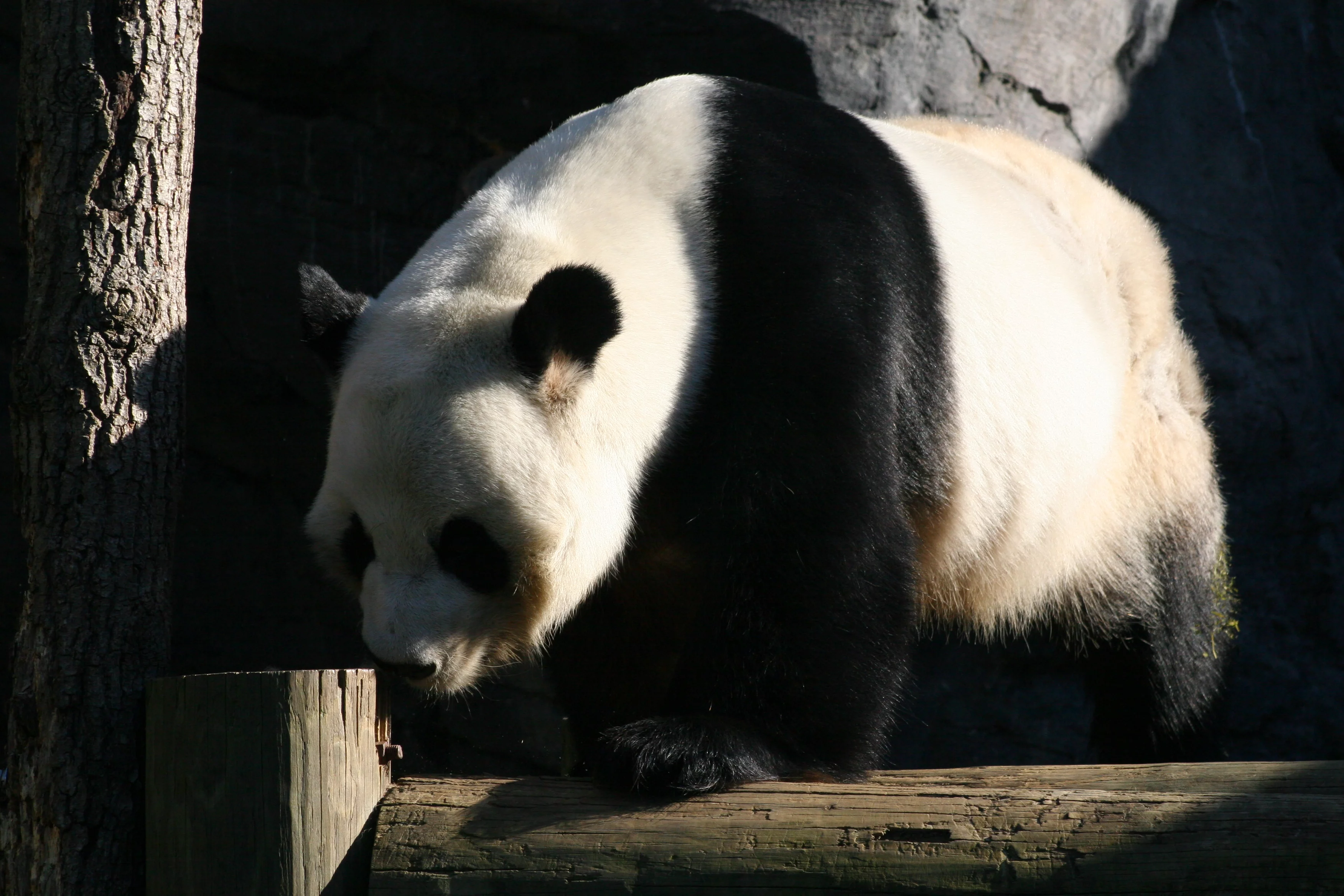 Zoo Atlanta