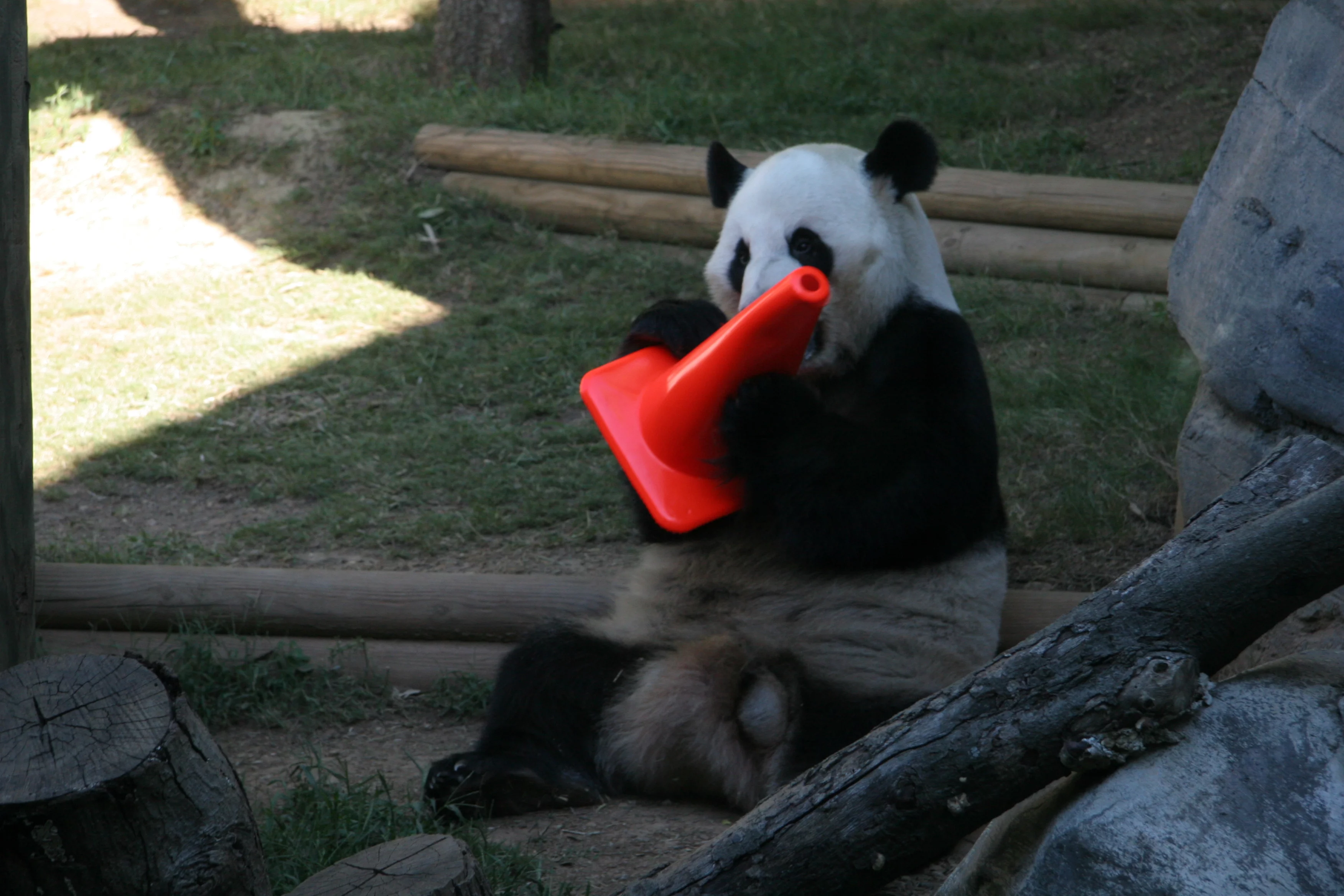 Zoo Atlanta