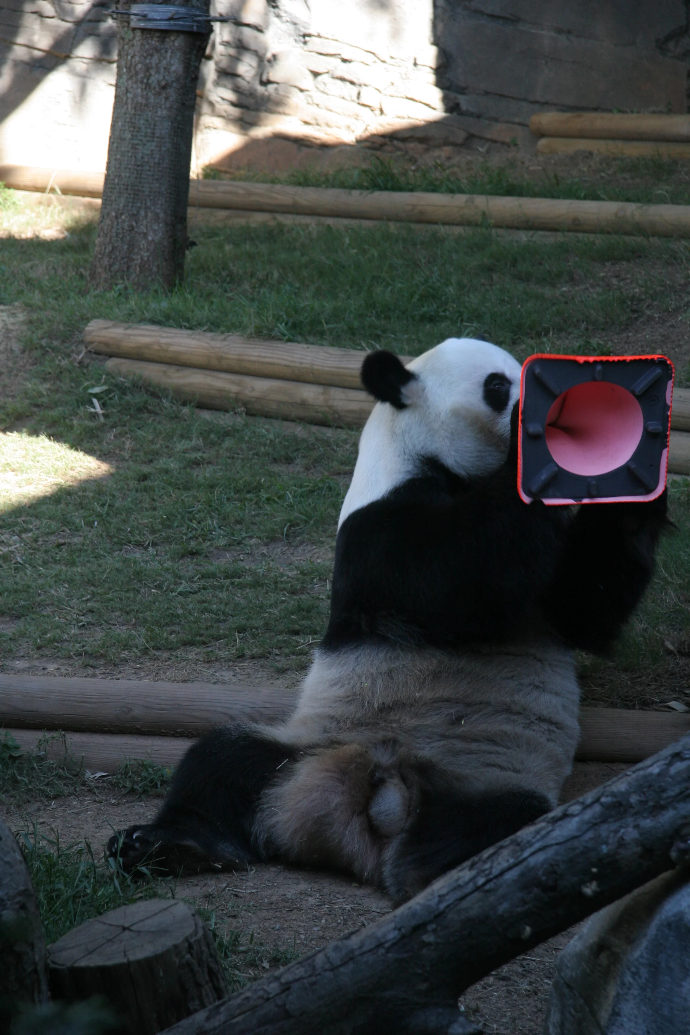 Zoo Atlanta