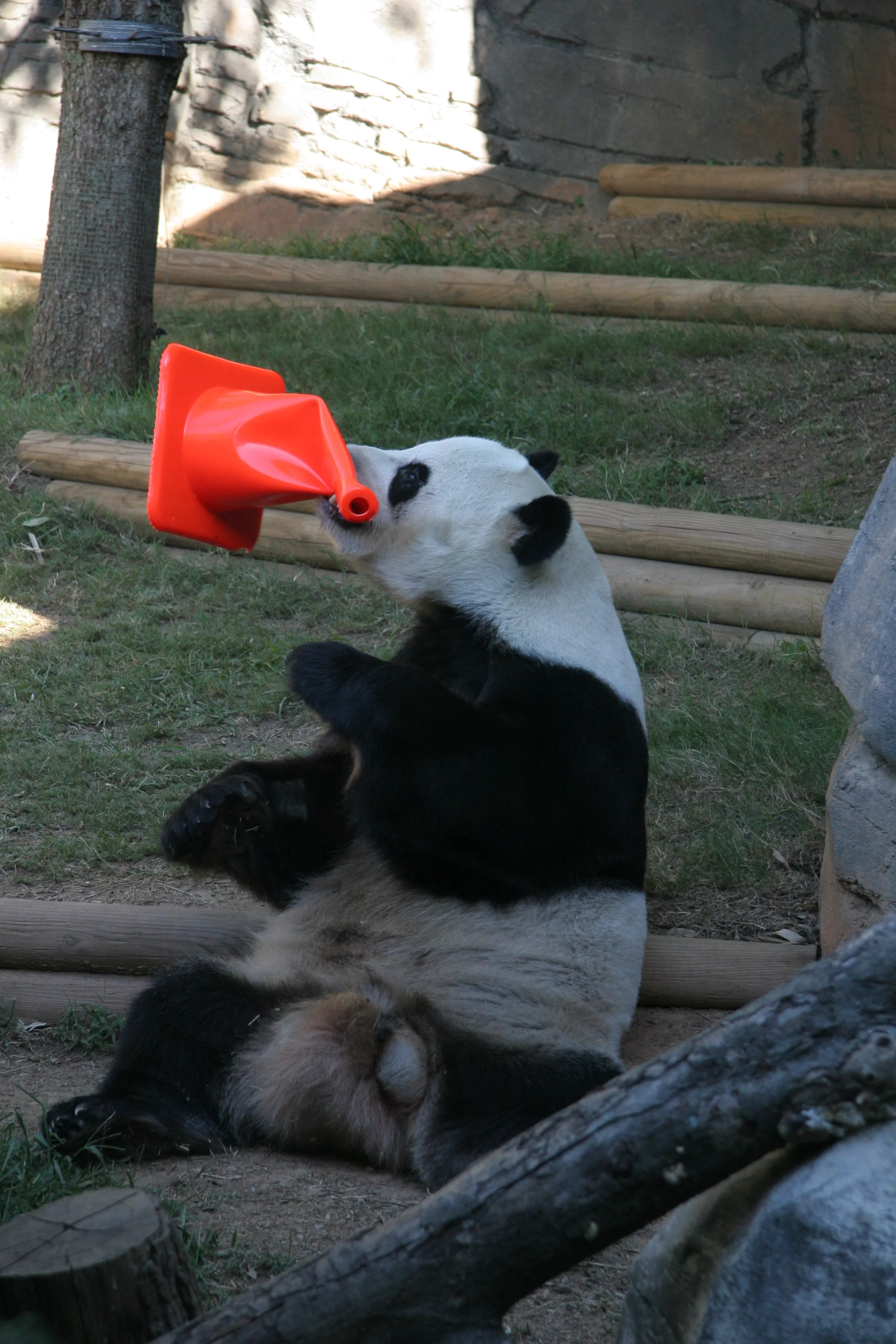 Zoo Atlanta