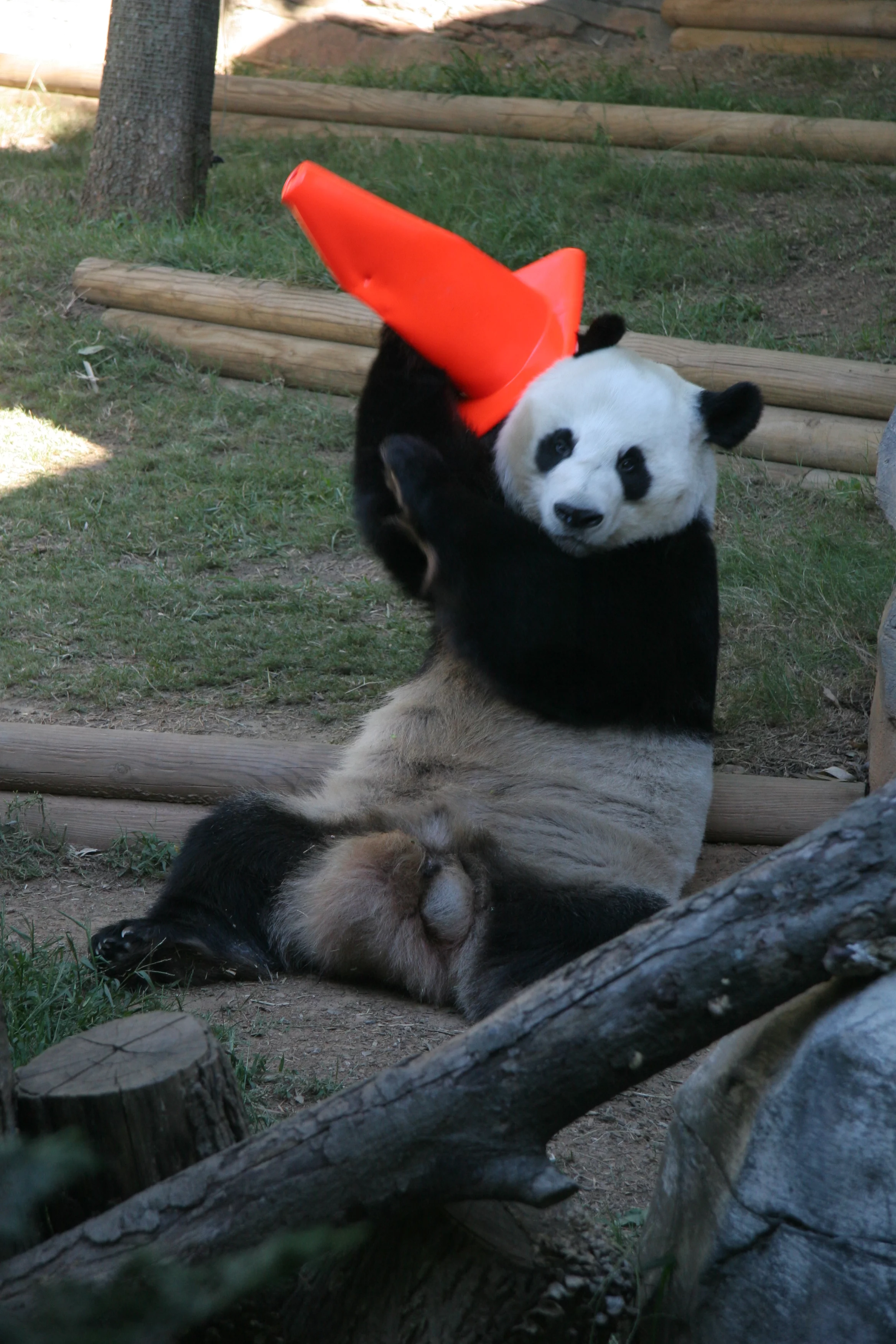 Zoo Atlanta