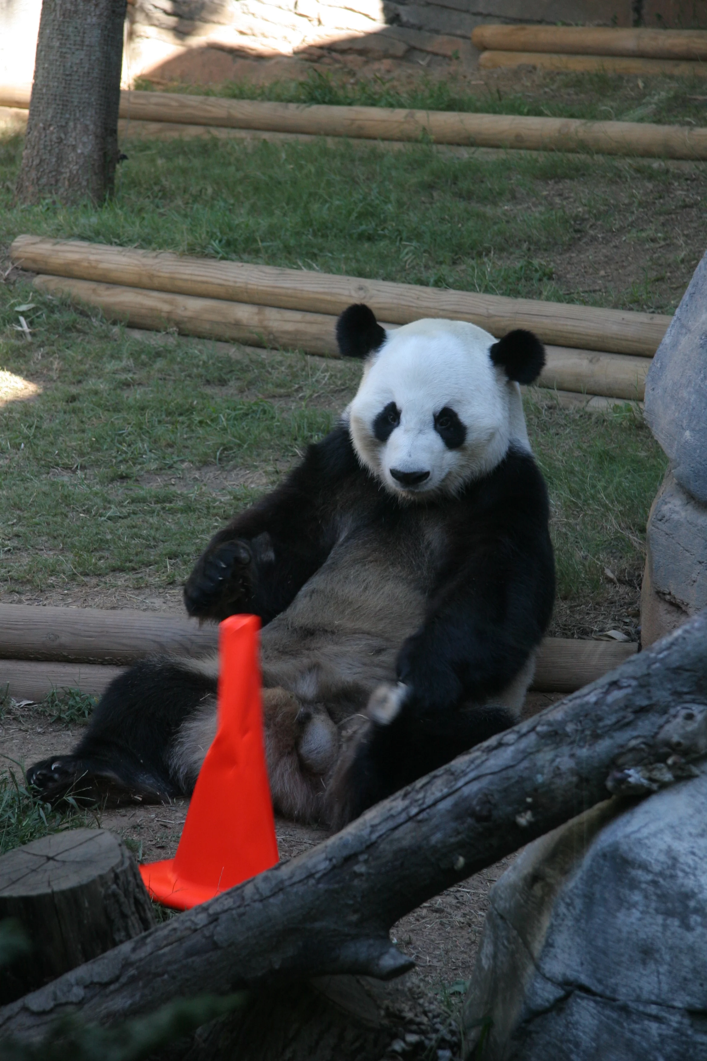 Zoo Atlanta