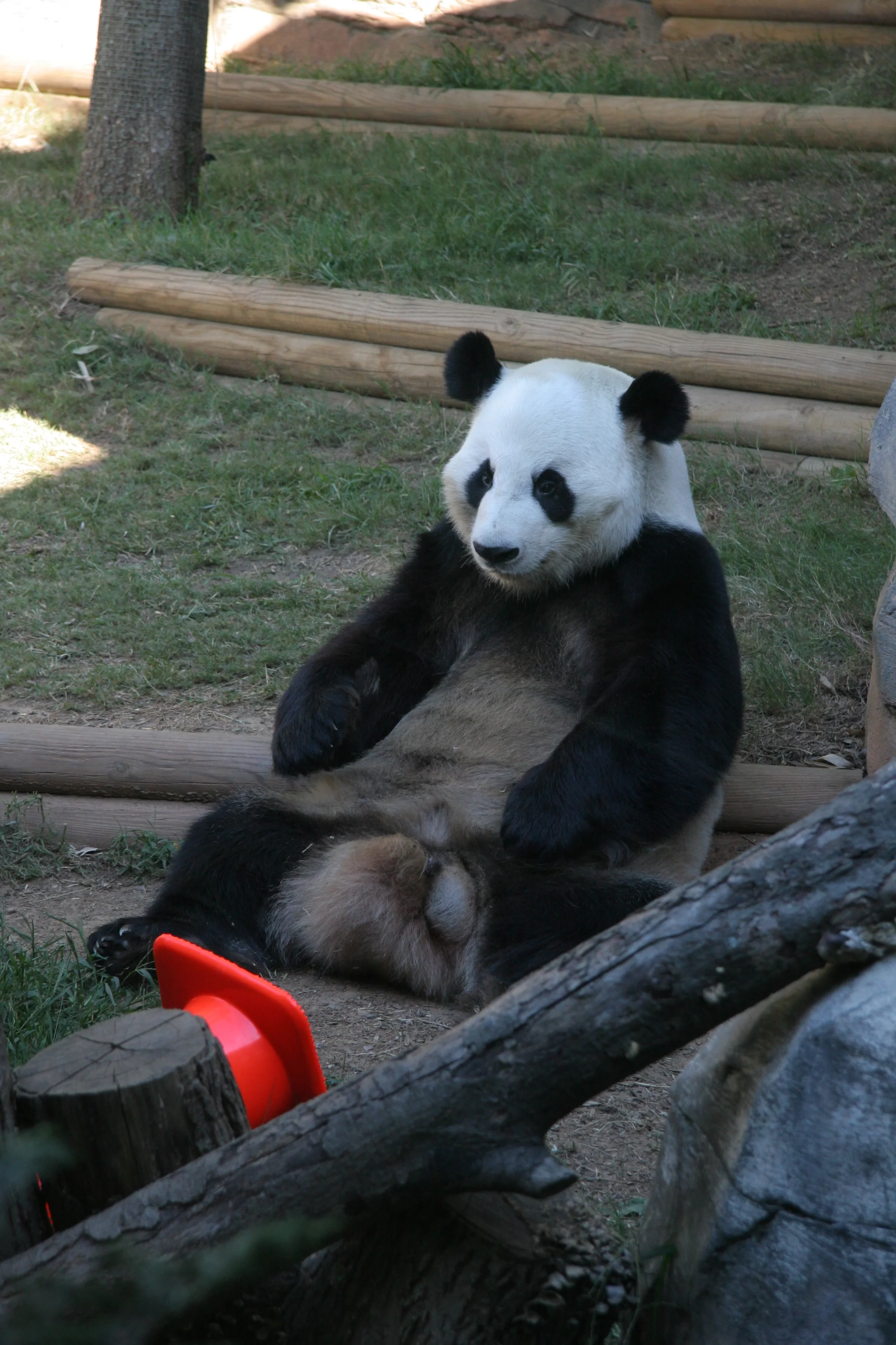 Zoo Atlanta