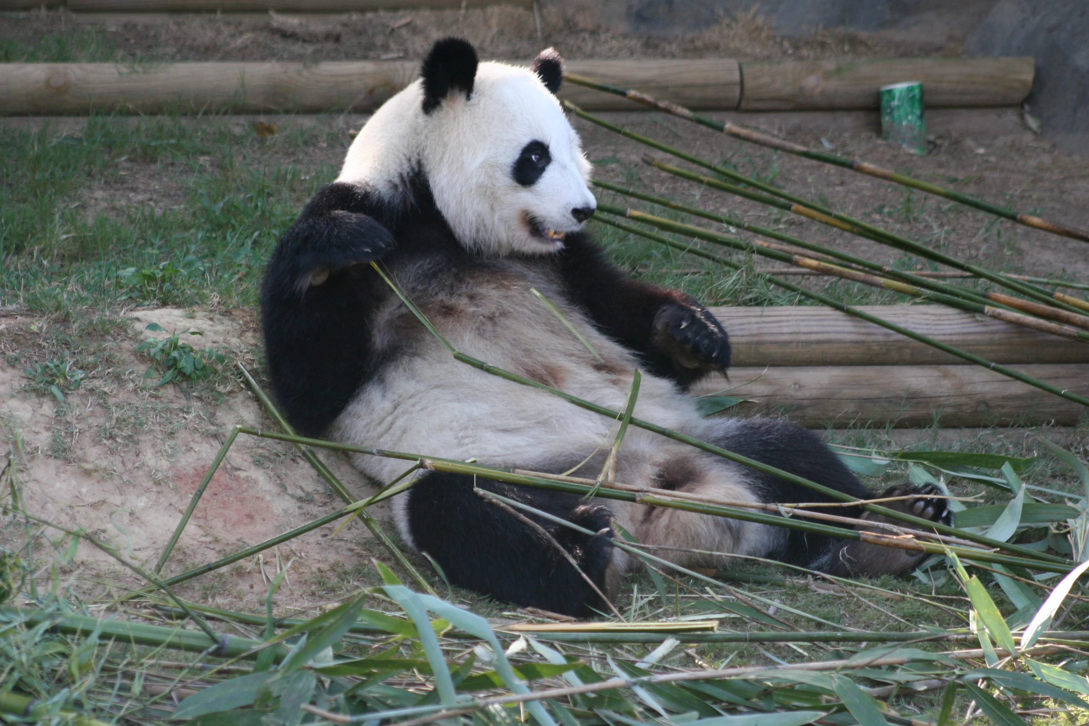 Zoo Atlanta