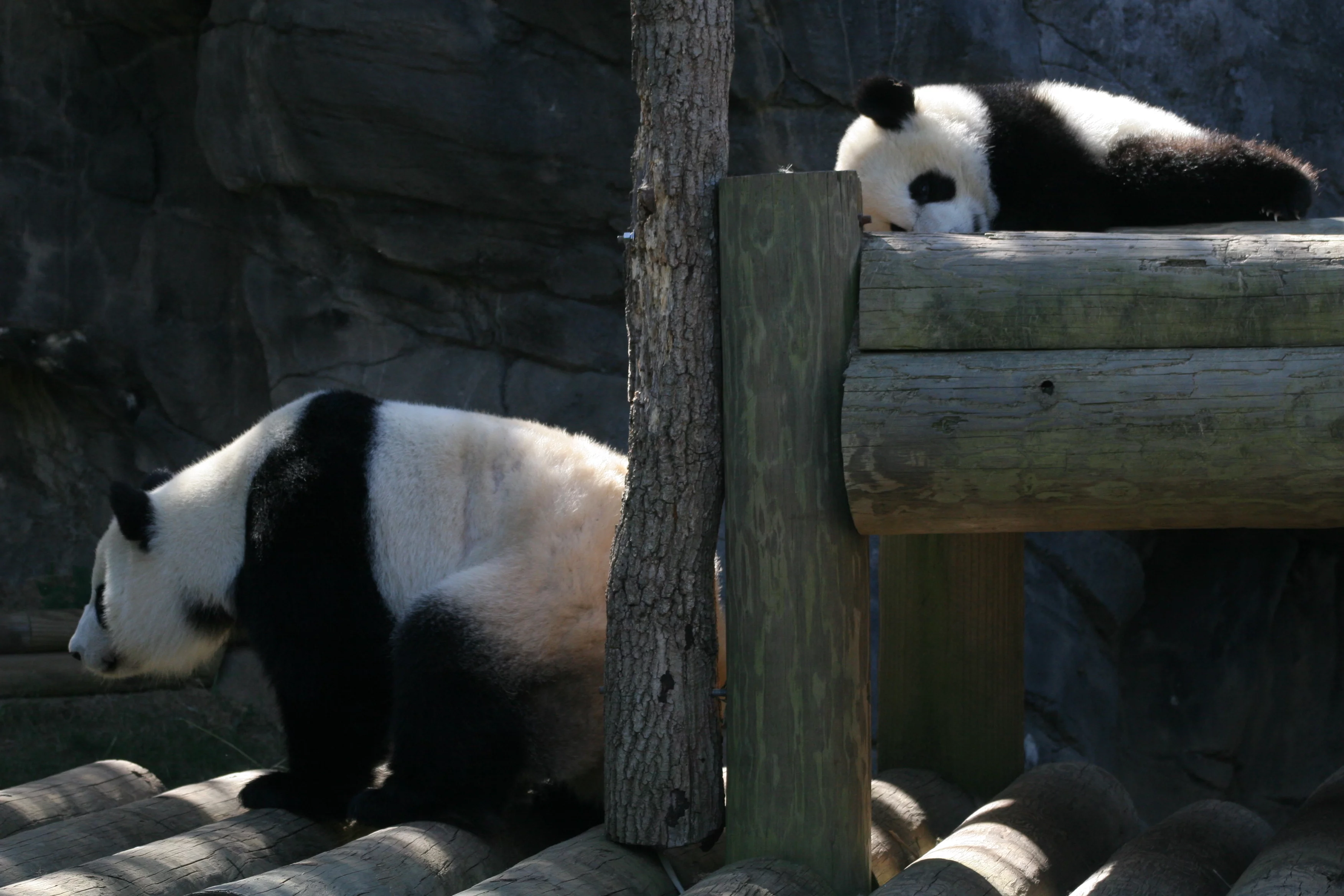 Zoo Atlanta
