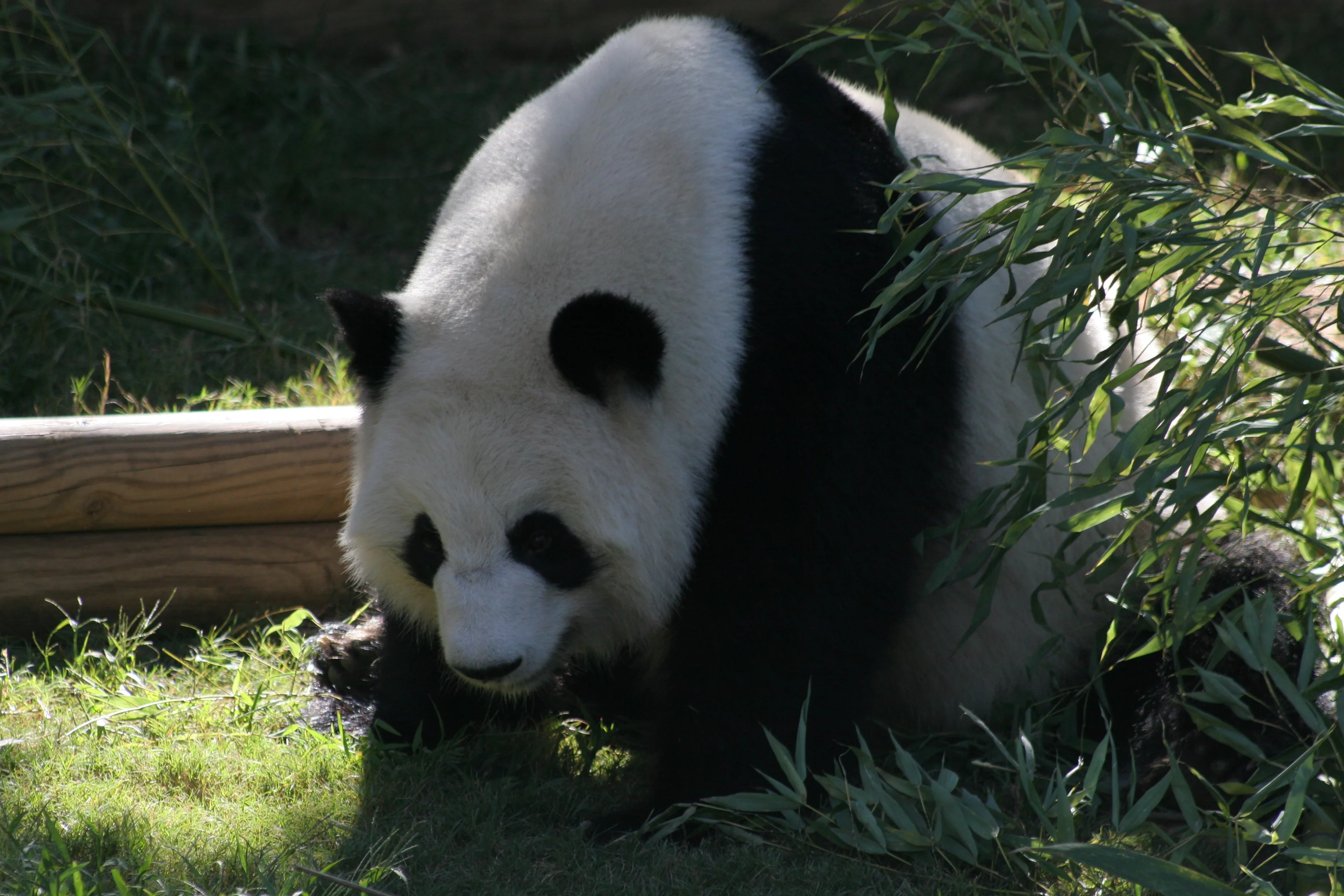 Zoo Atlanta