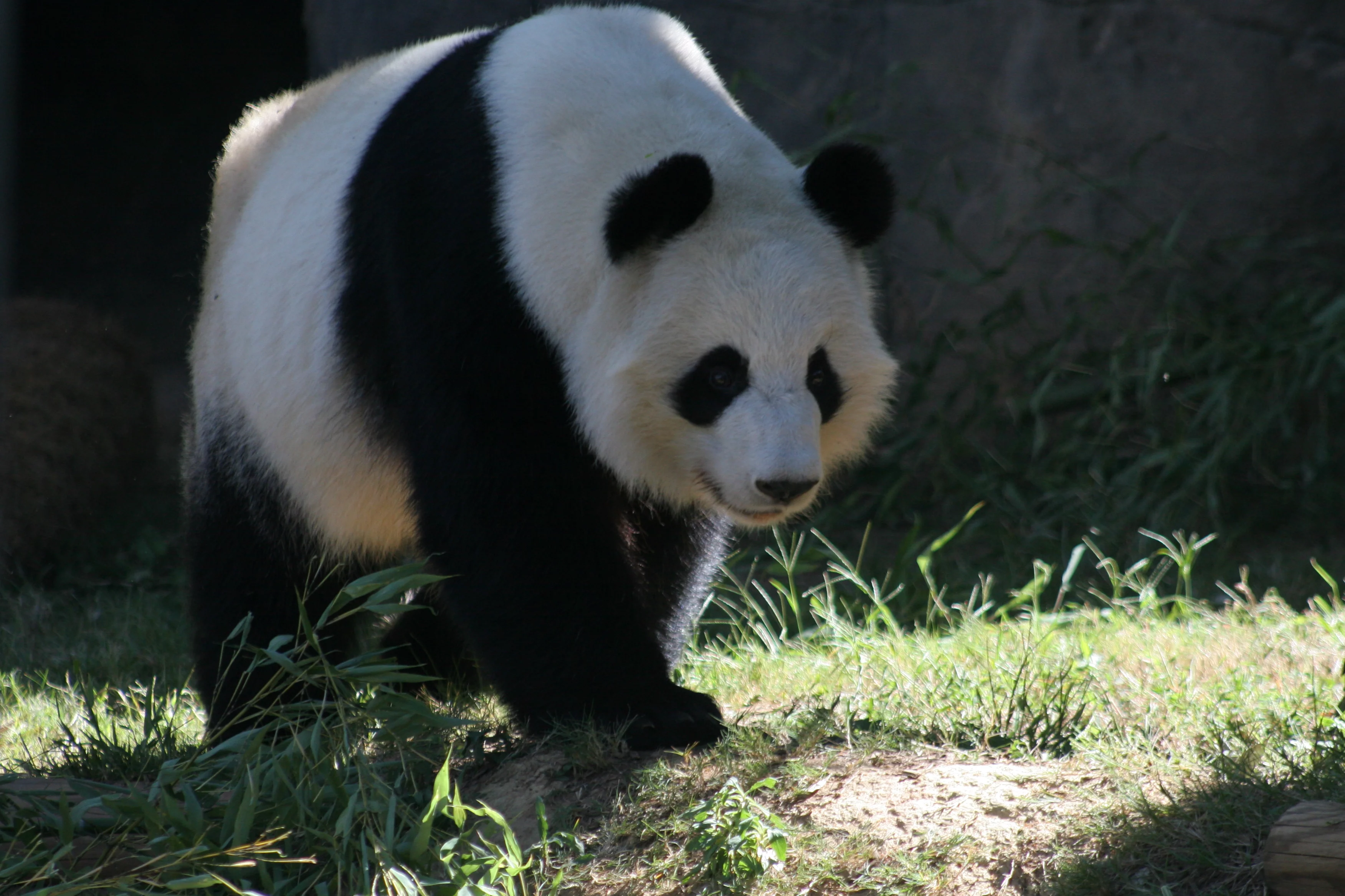 Zoo Atlanta
