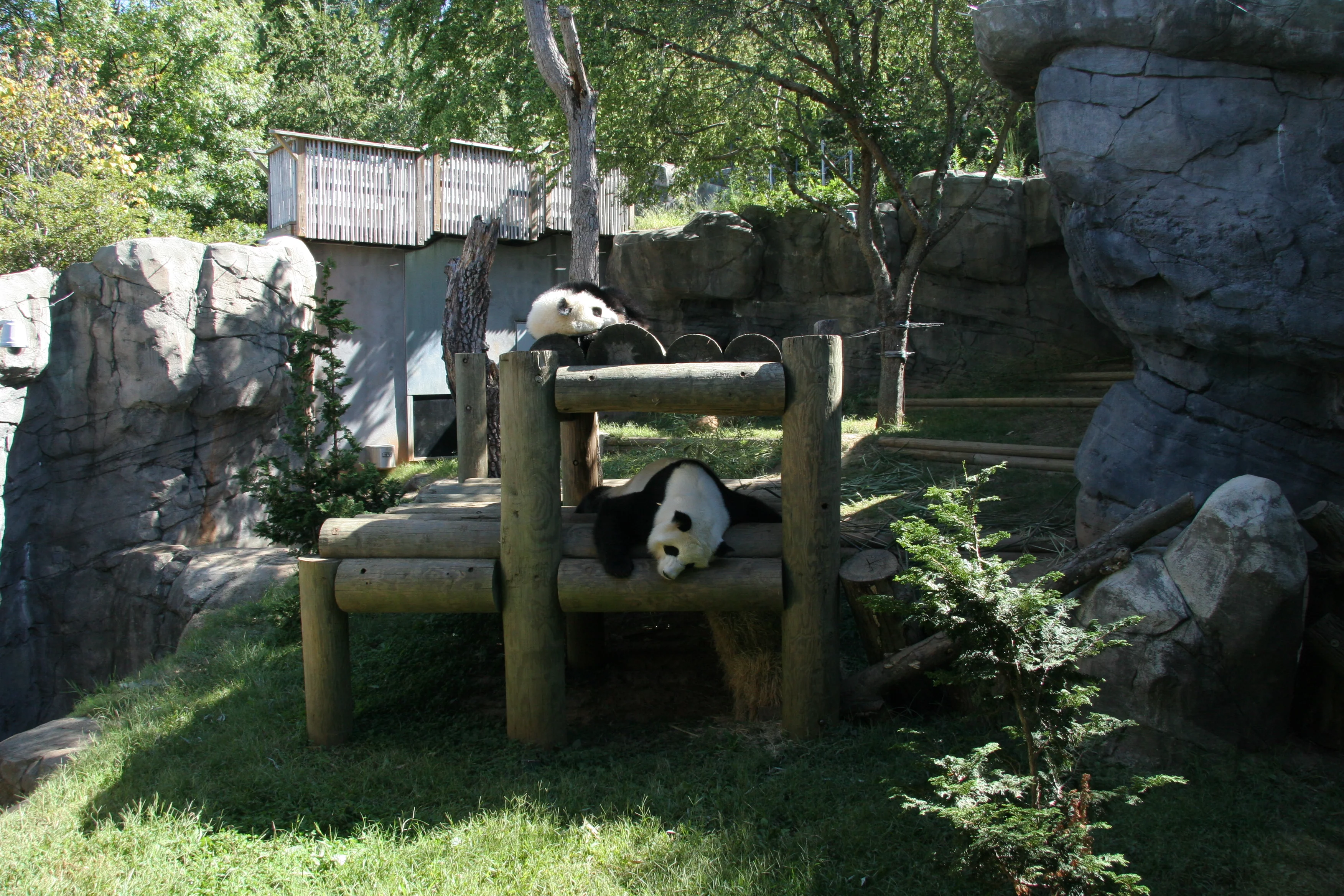 Zoo Atlanta
