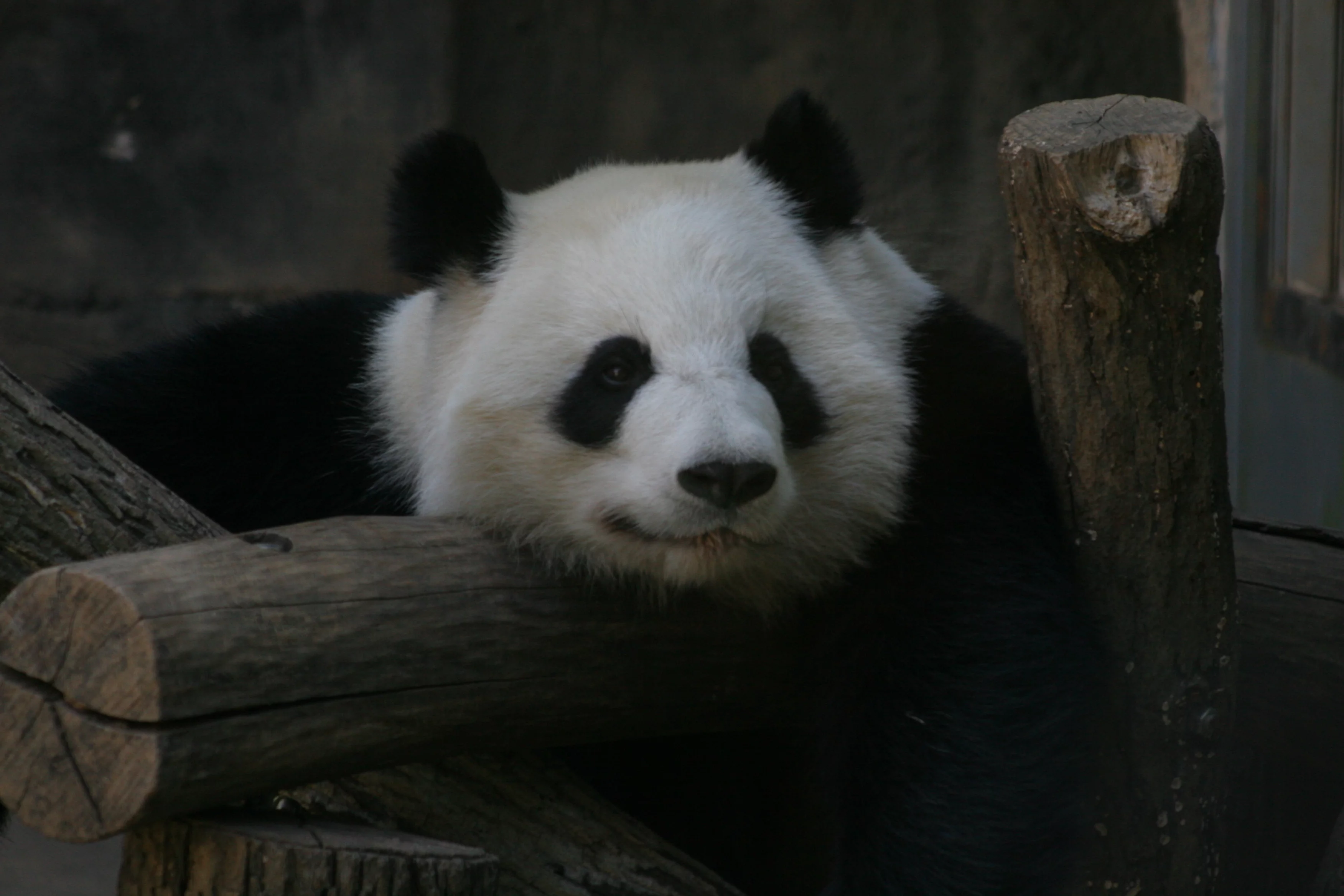 Zoo Atlanta