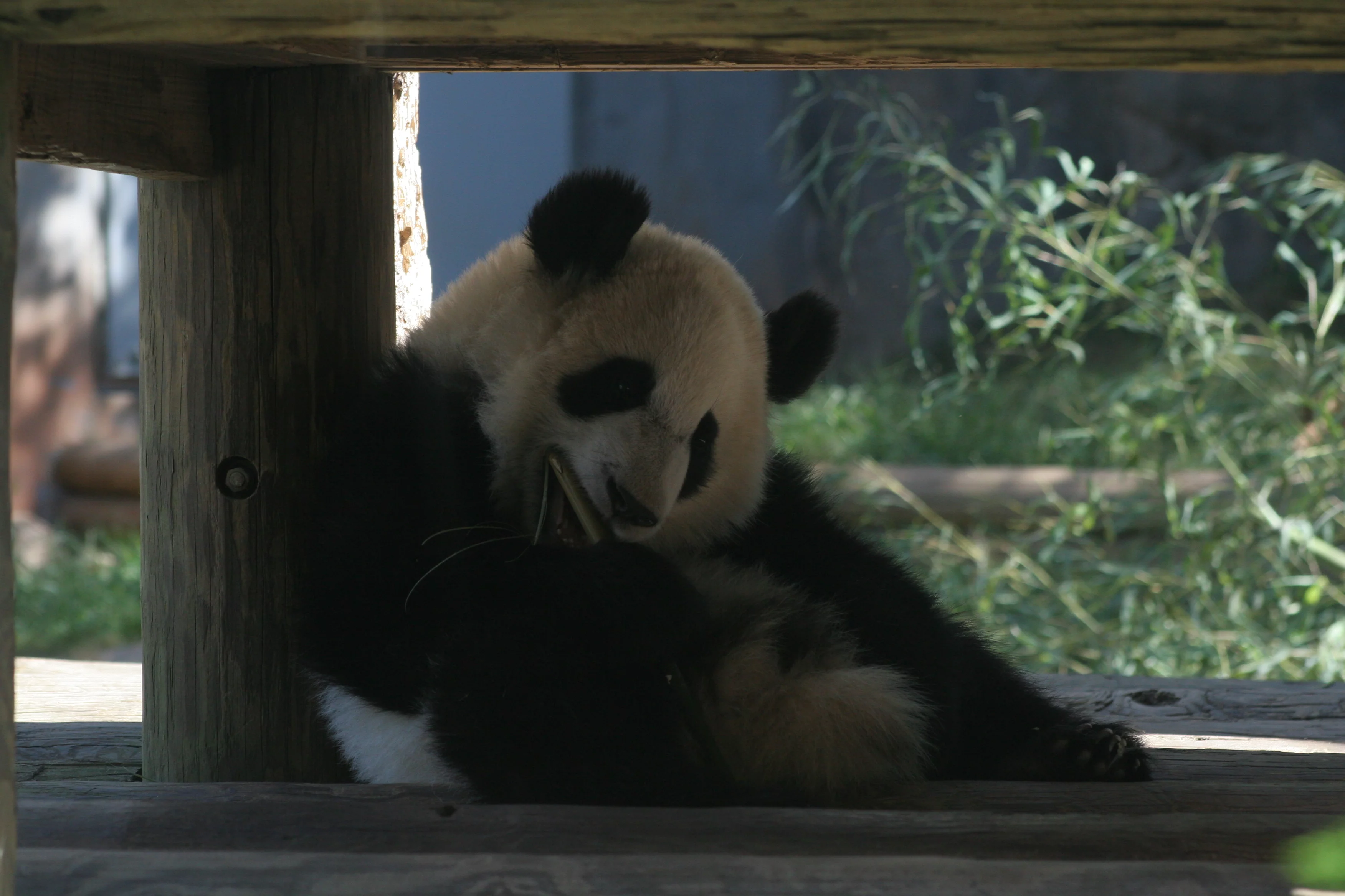 Zoo Atlanta