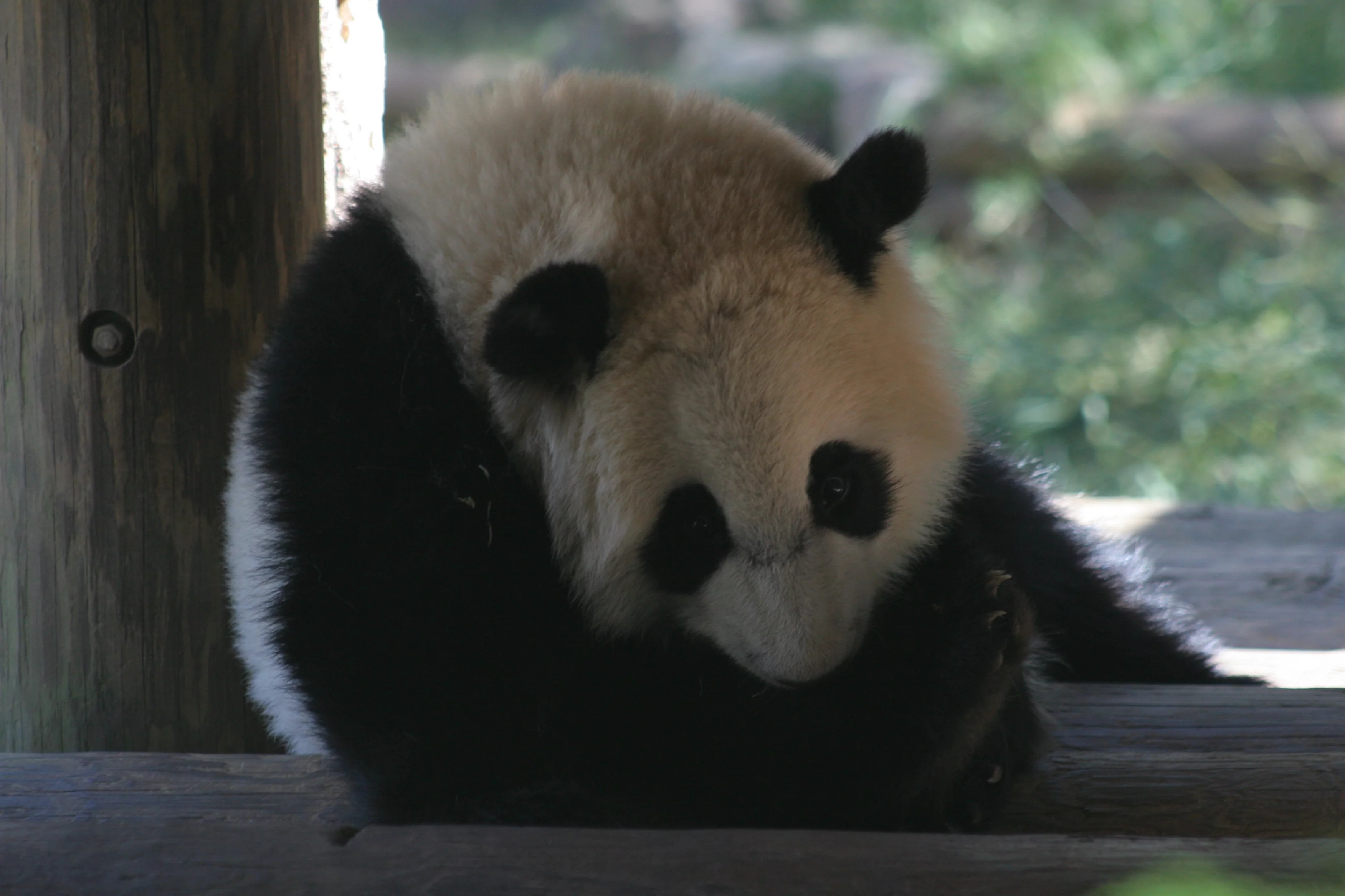 Zoo Atlanta