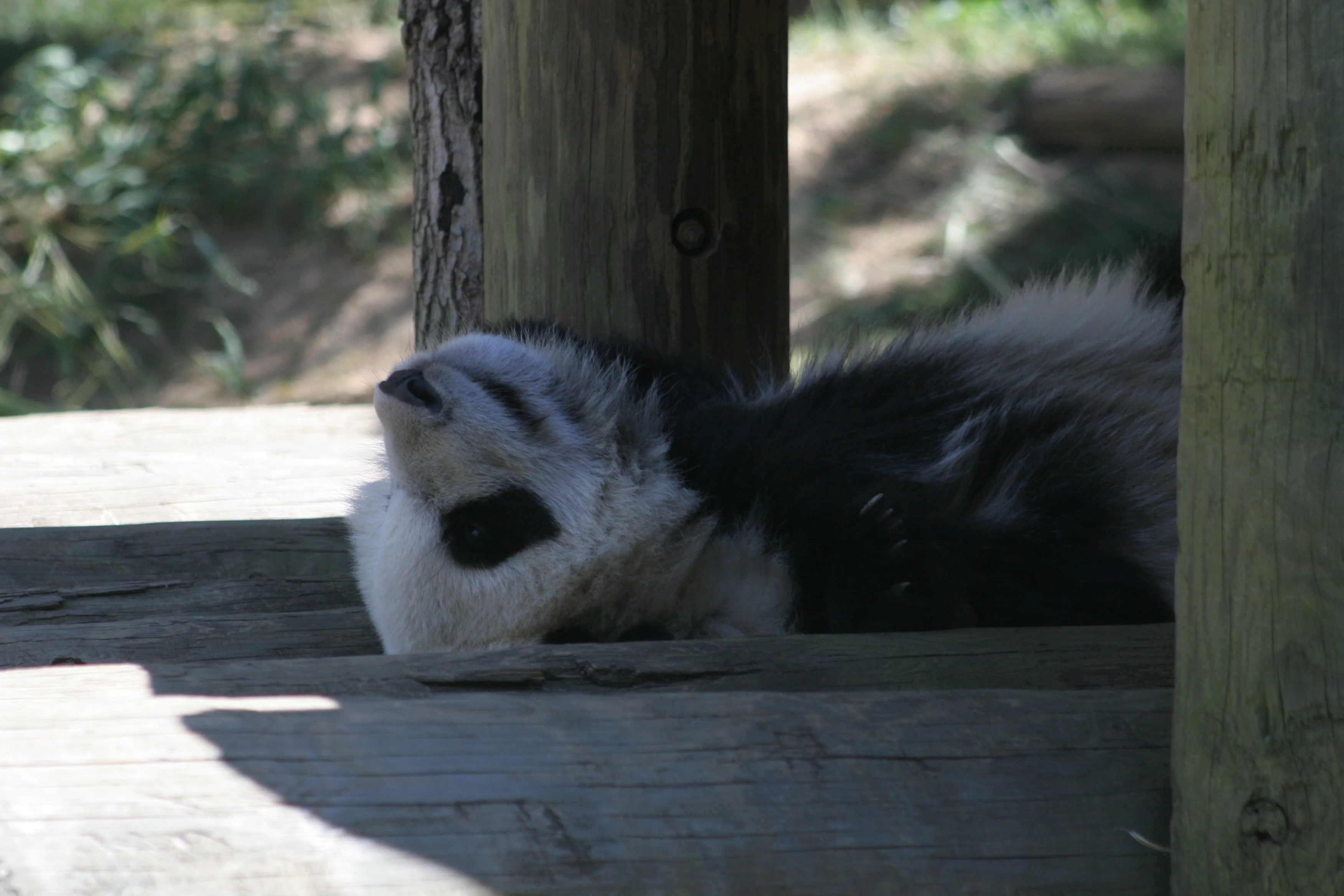 Zoo Atlanta