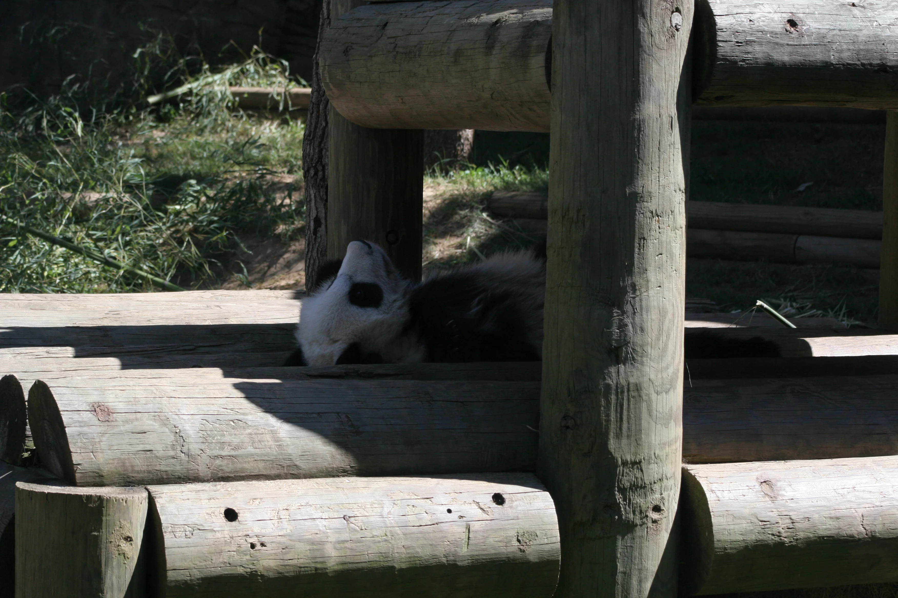 Zoo Atlanta