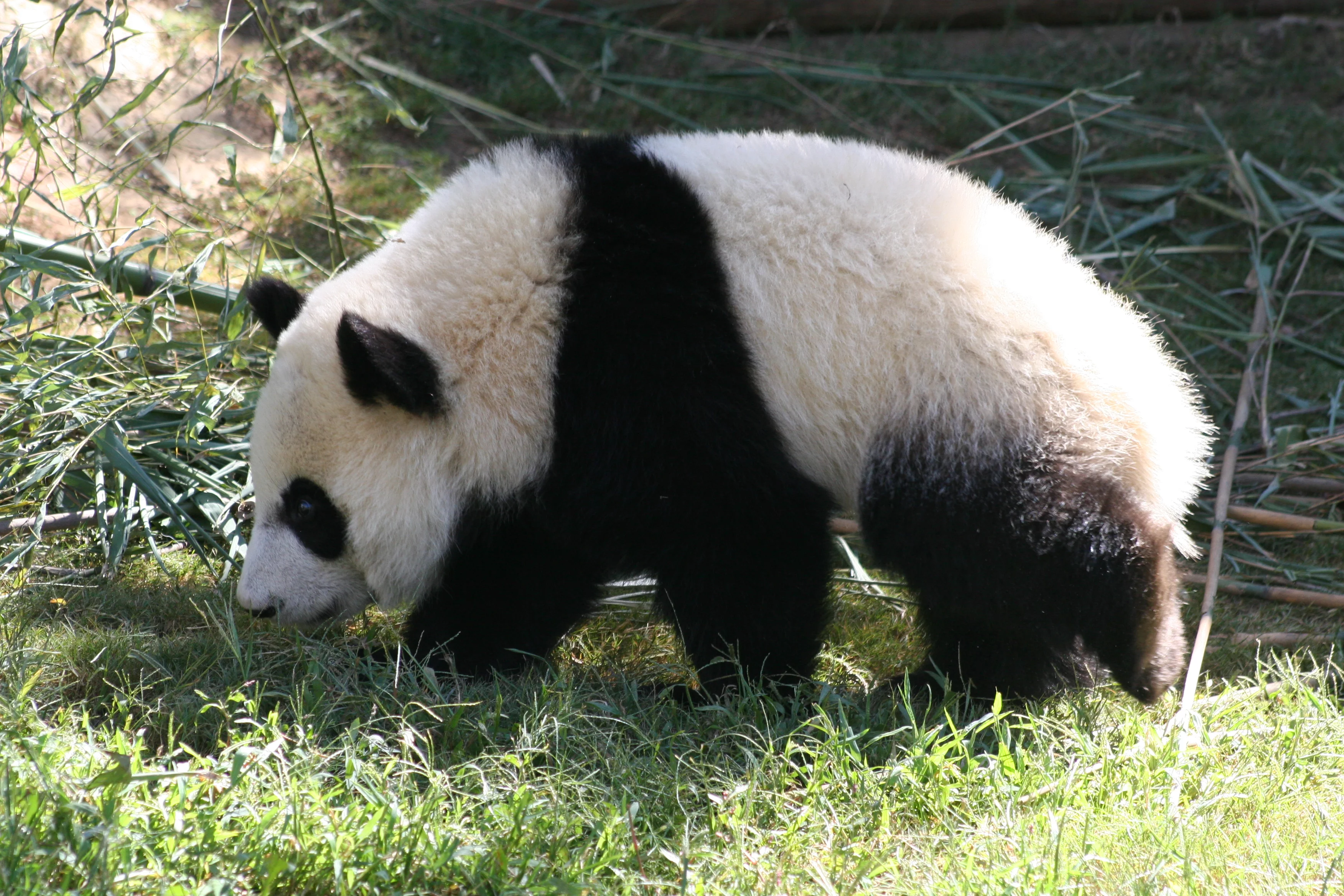 Zoo Atlanta