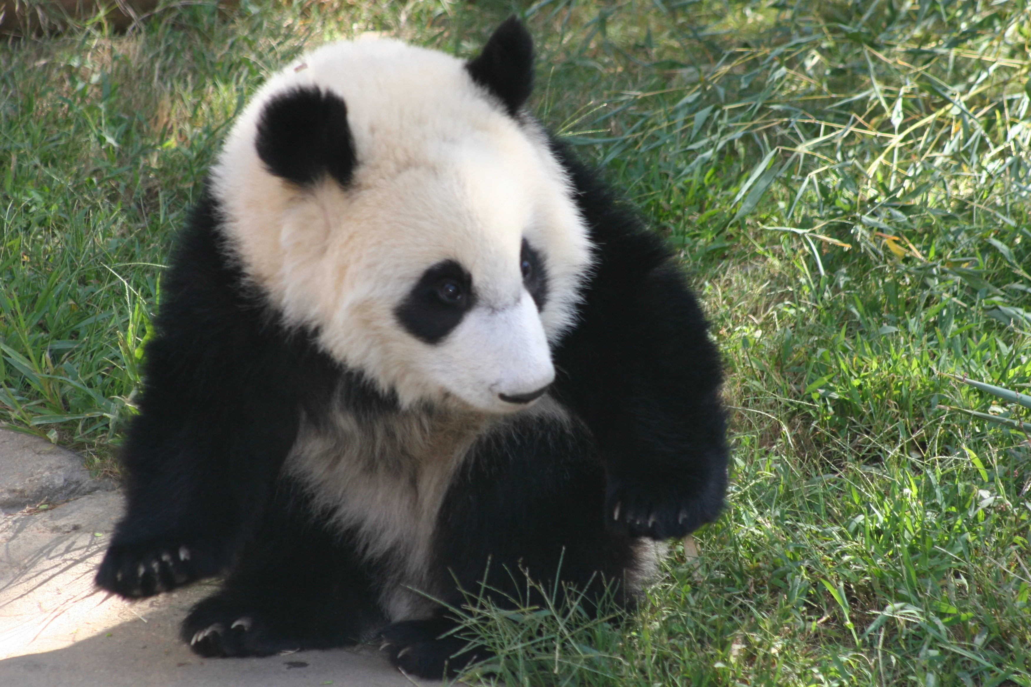 Zoo Atlanta