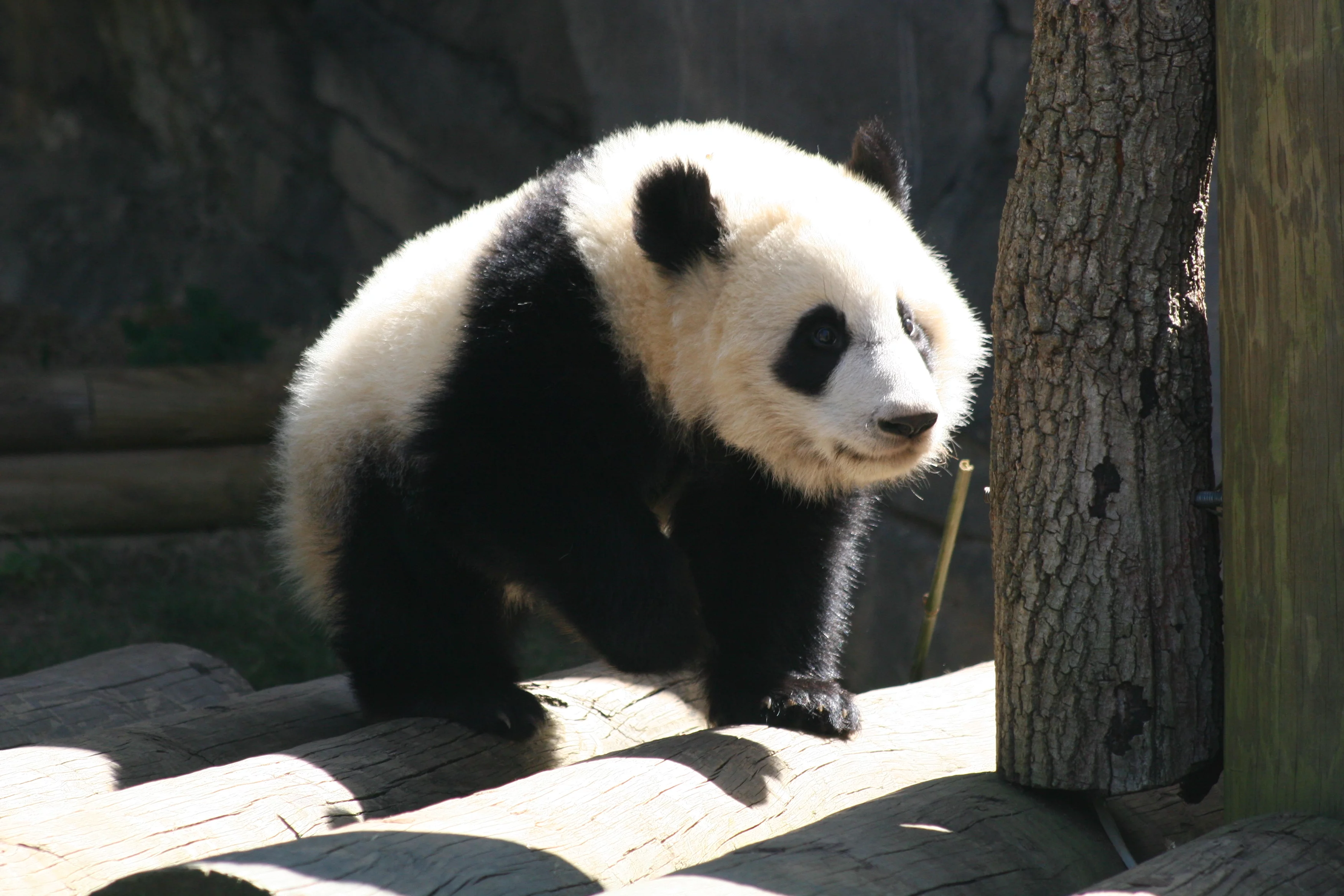 Zoo Atlanta