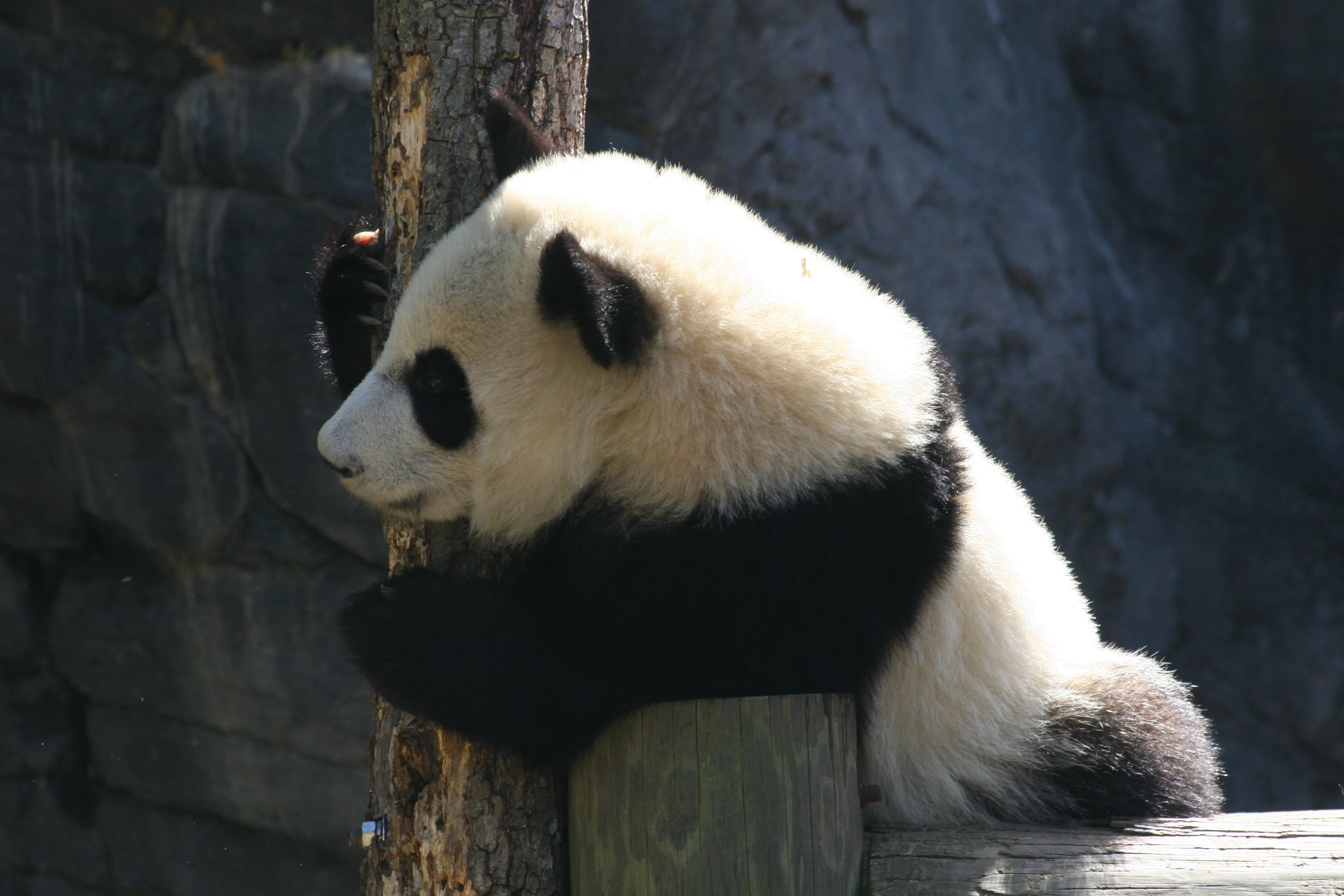 Zoo Atlanta