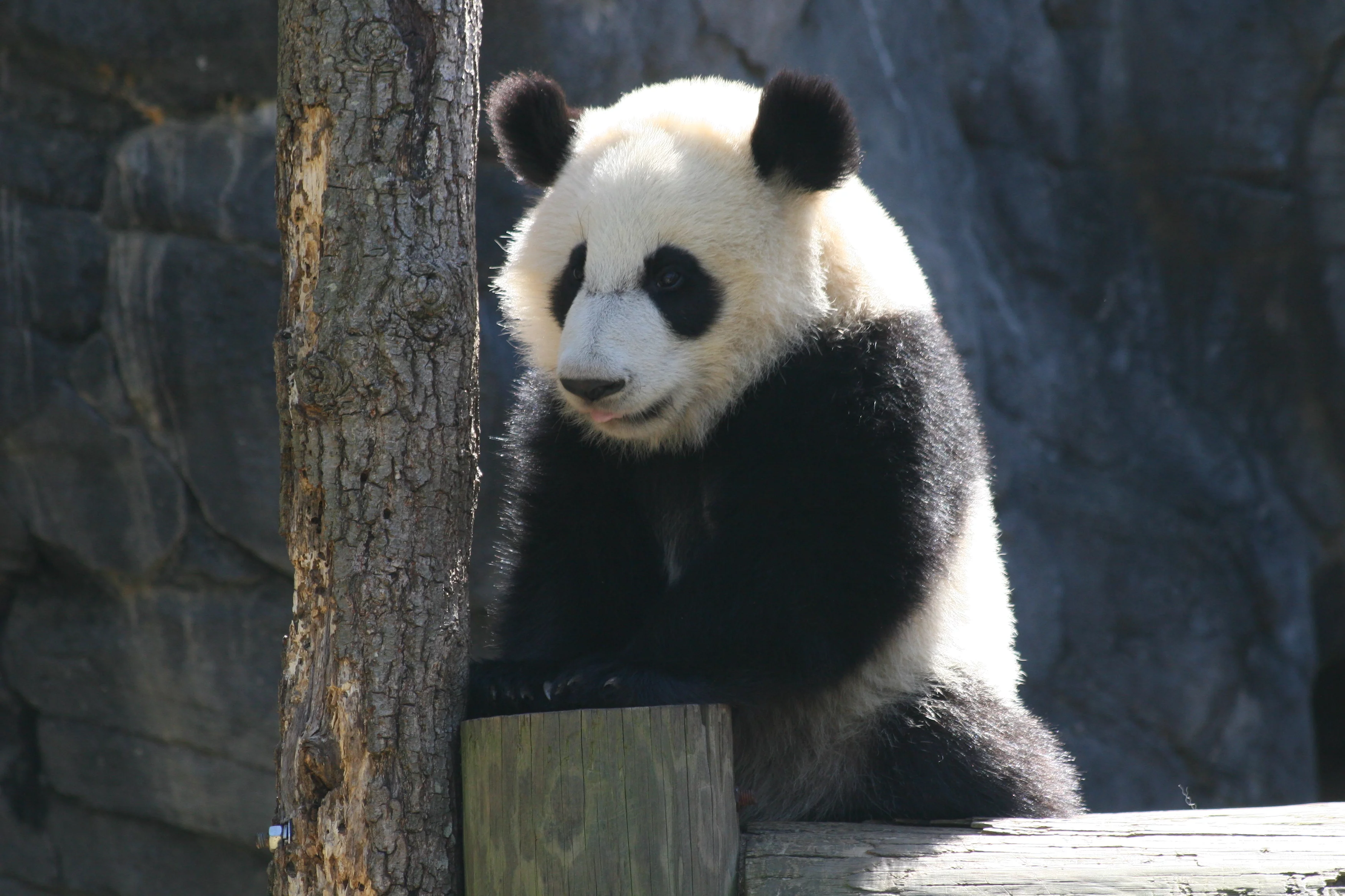 Zoo Atlanta