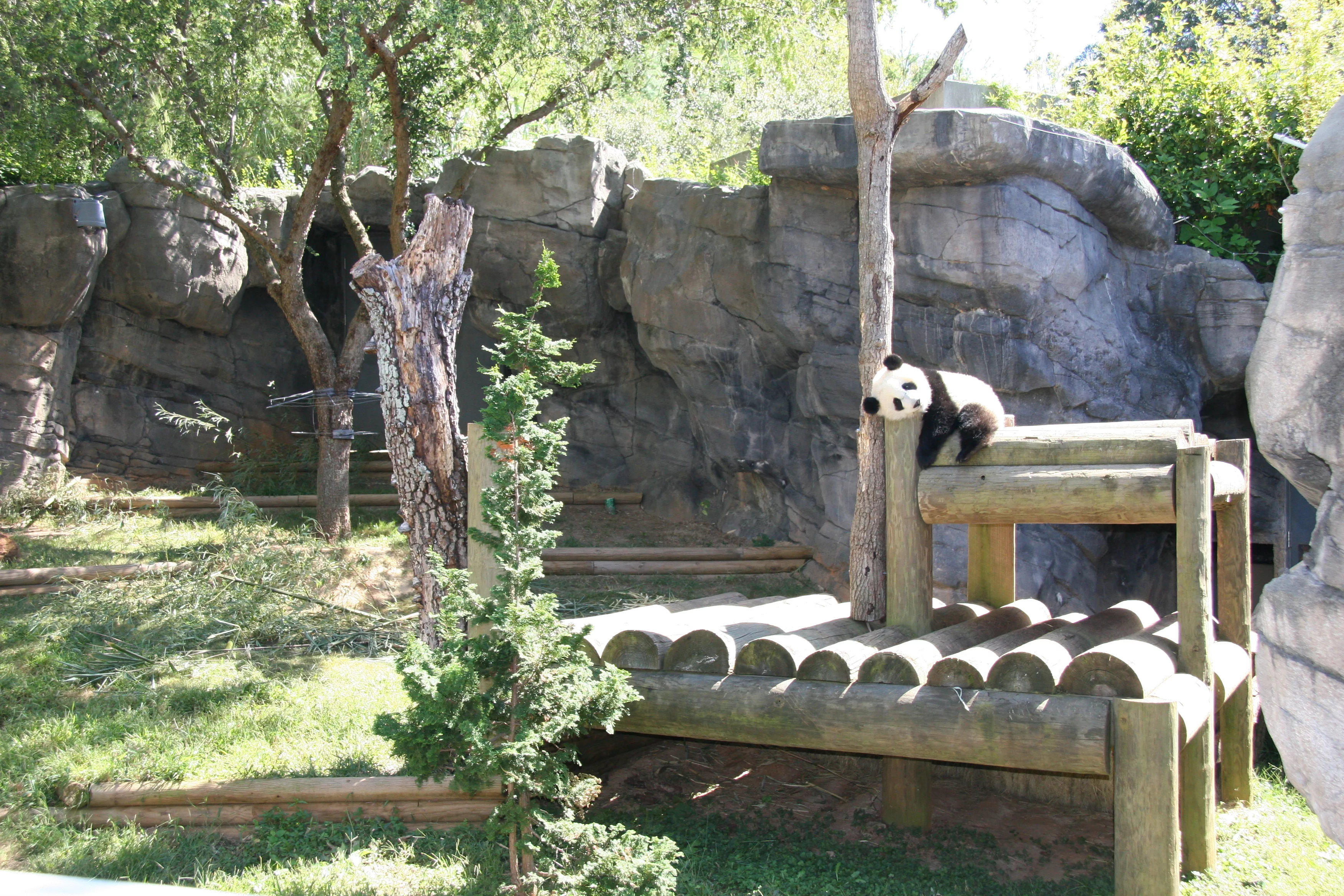Zoo Atlanta