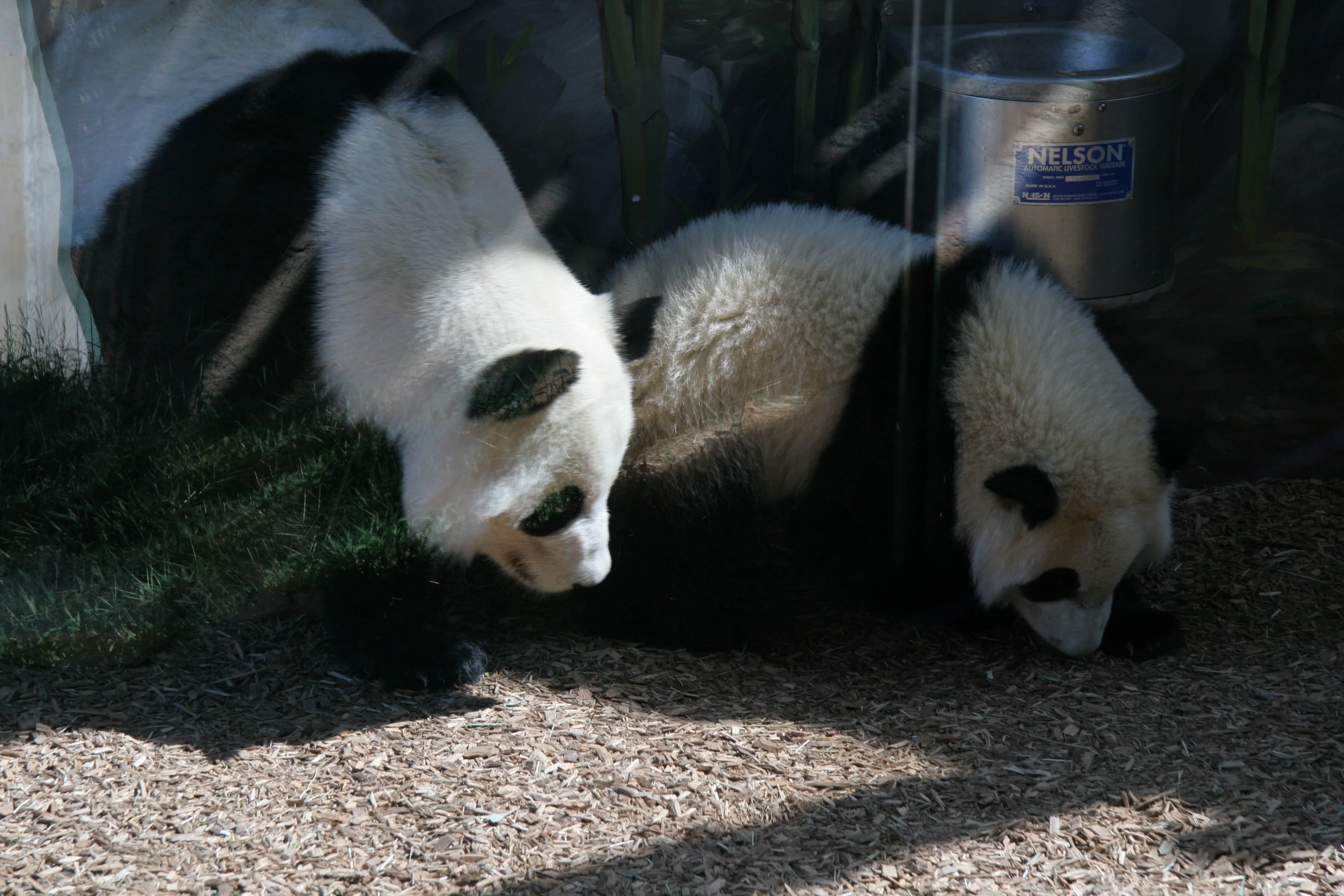Zoo Atlanta