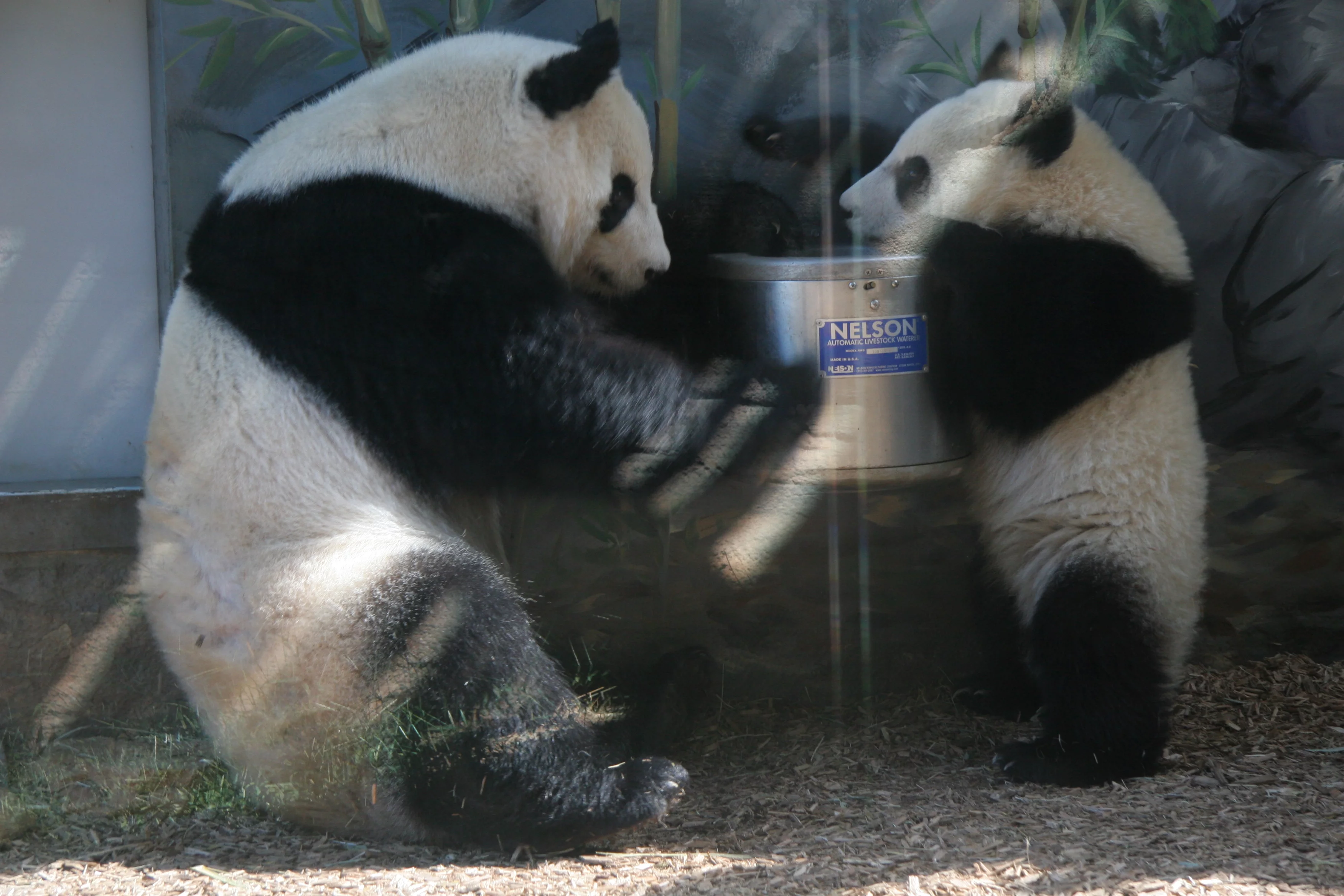 Zoo Atlanta
