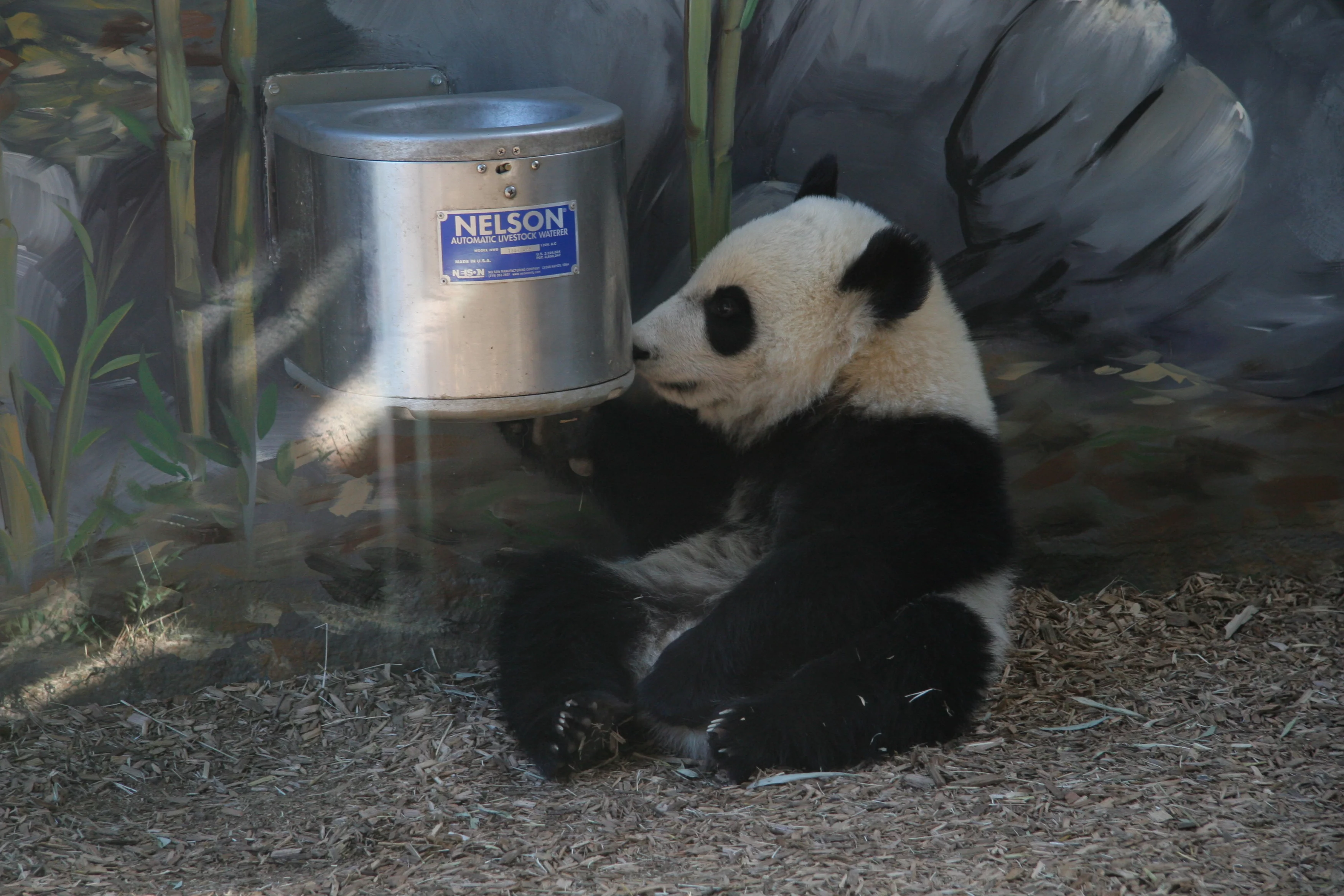 Zoo Atlanta