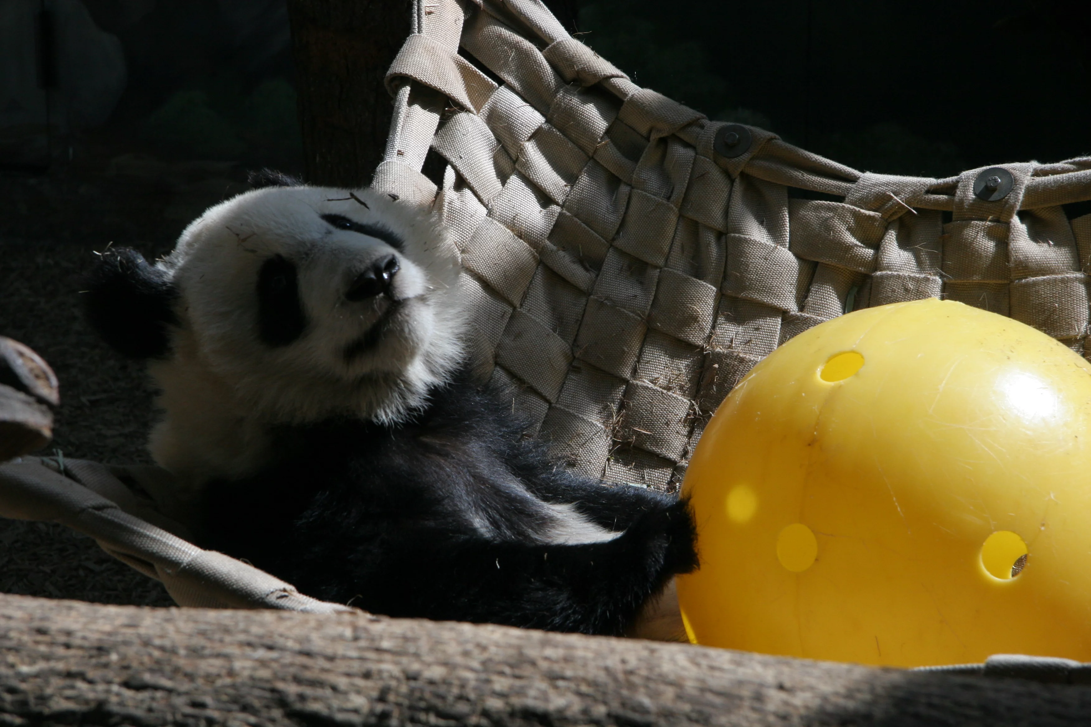 Zoo Atlanta