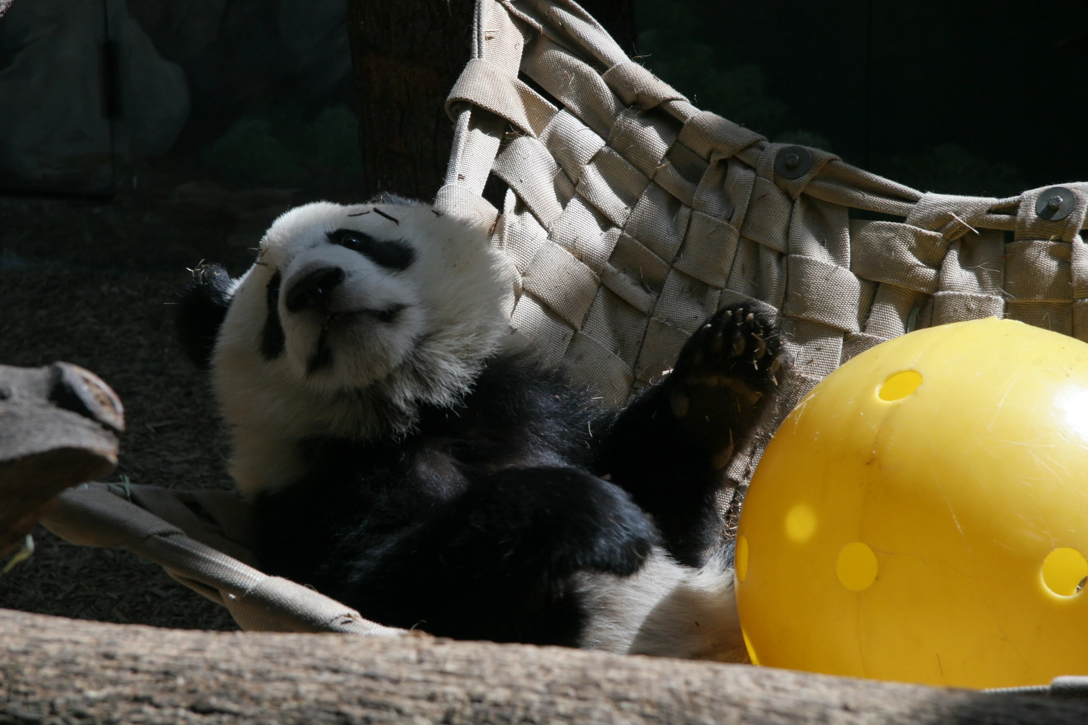 Zoo Atlanta