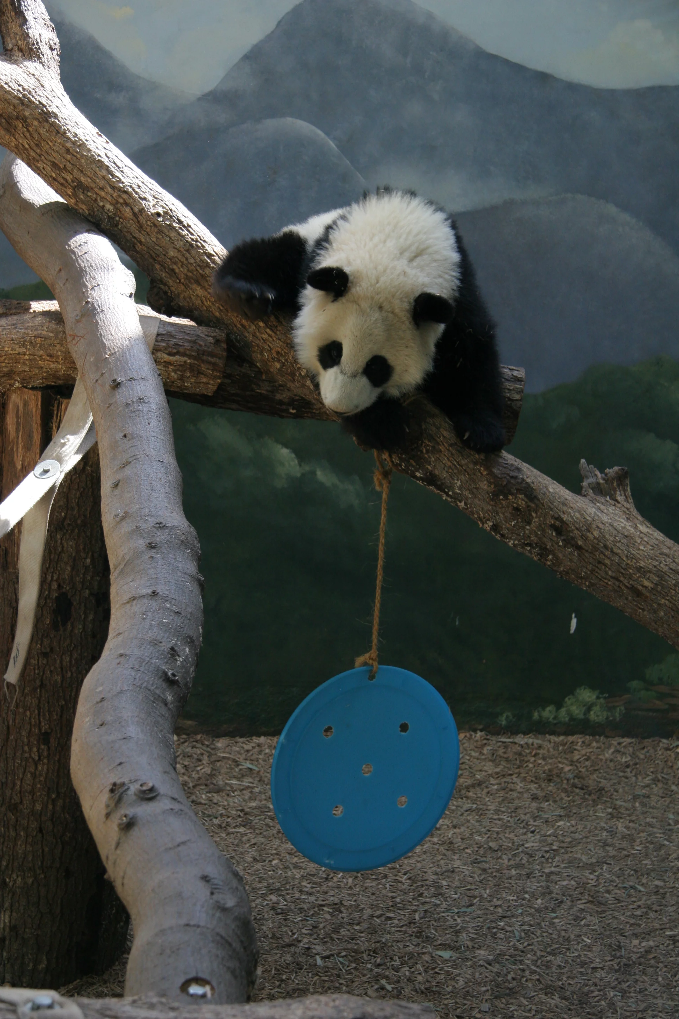 Zoo Atlanta