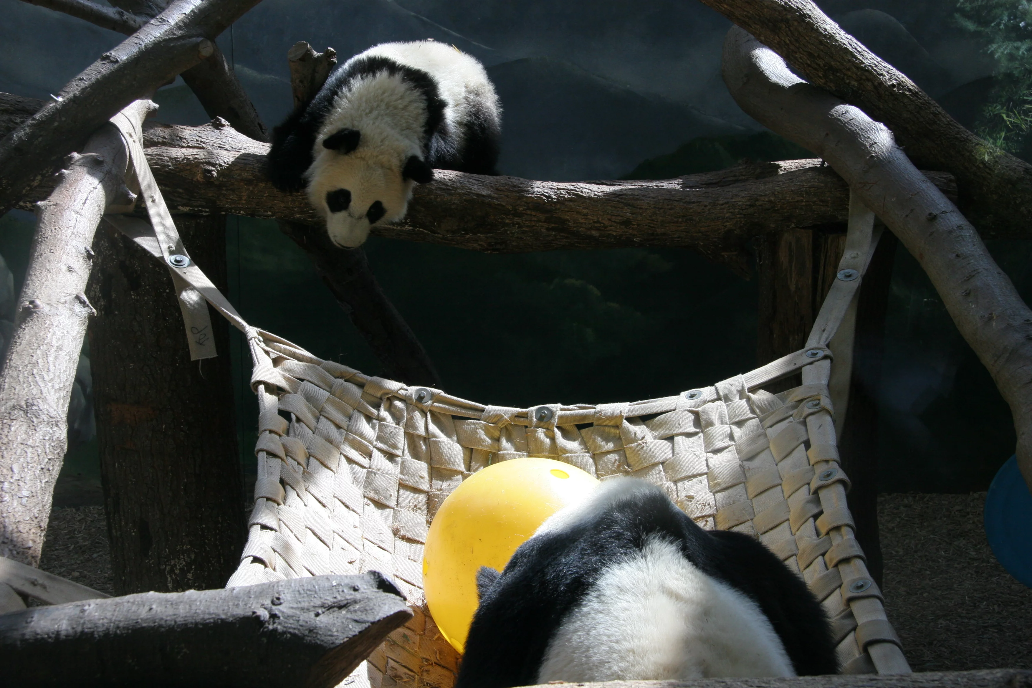 Zoo Atlanta
