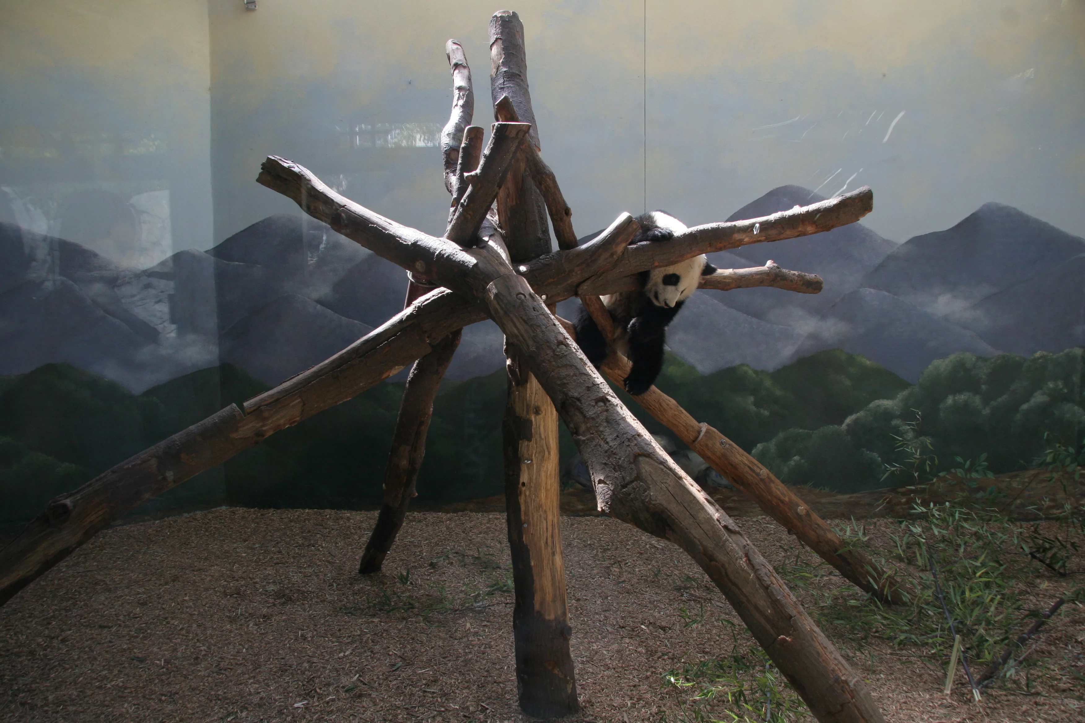 Zoo Atlanta