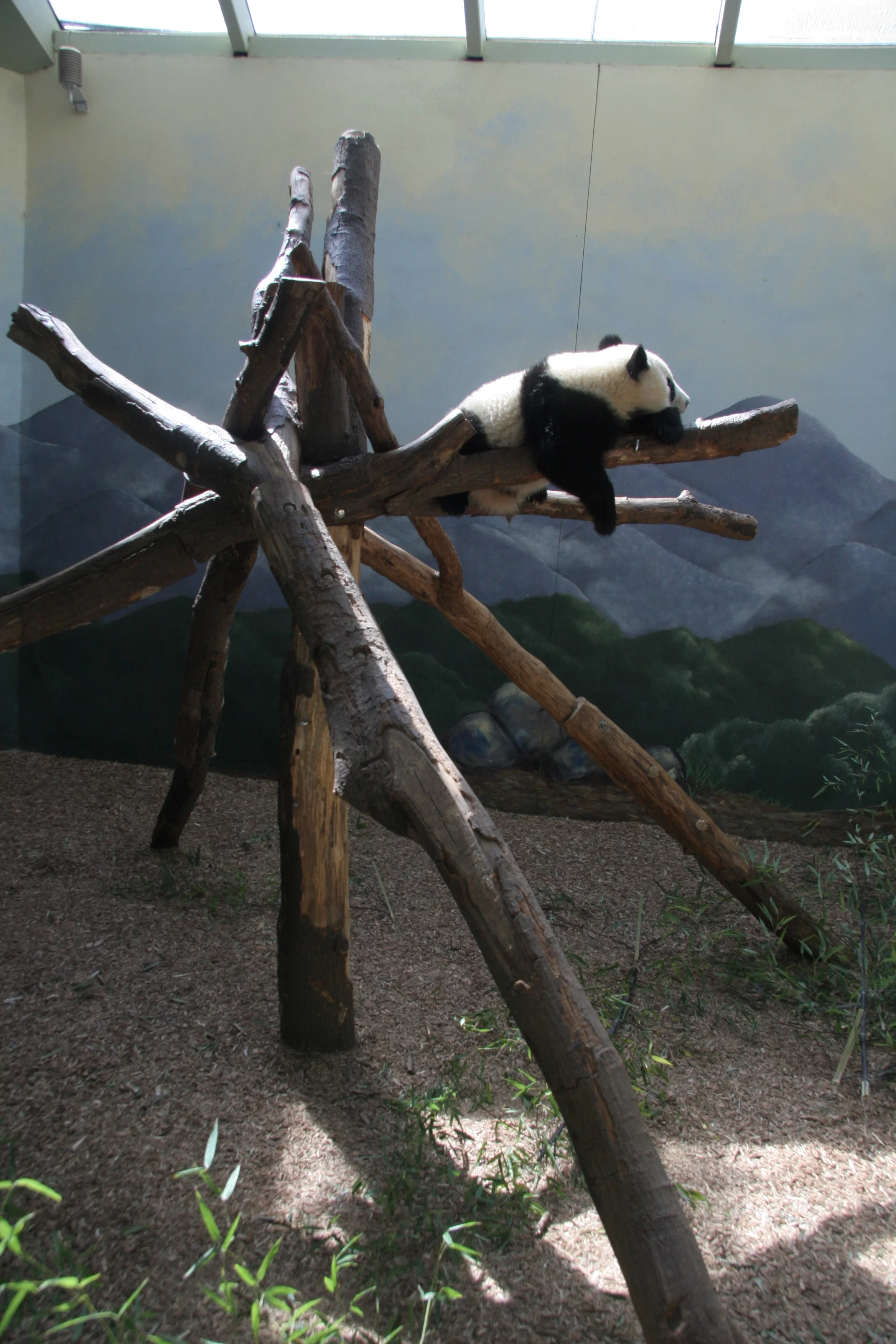 Zoo Atlanta