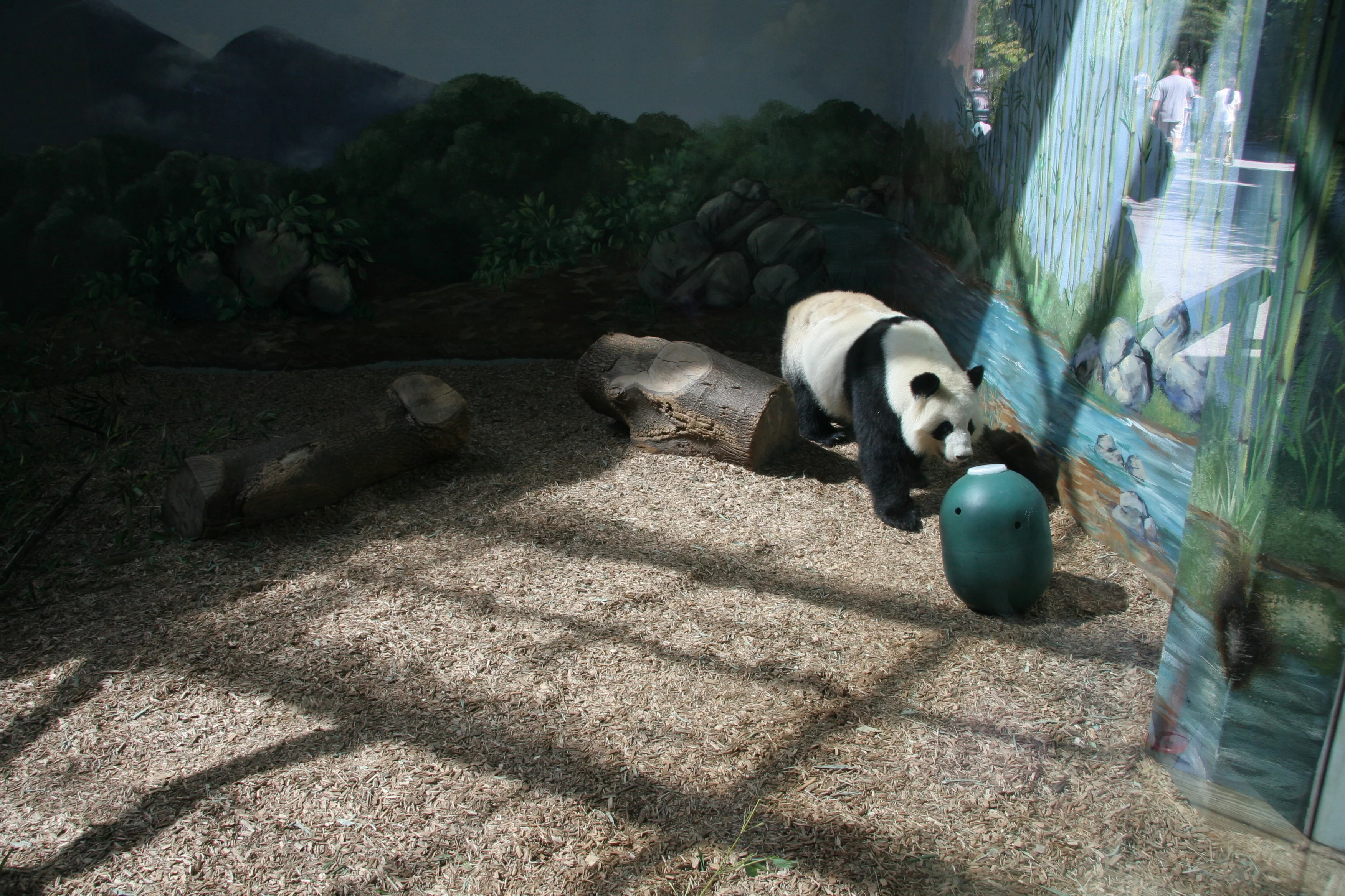 Zoo Atlanta