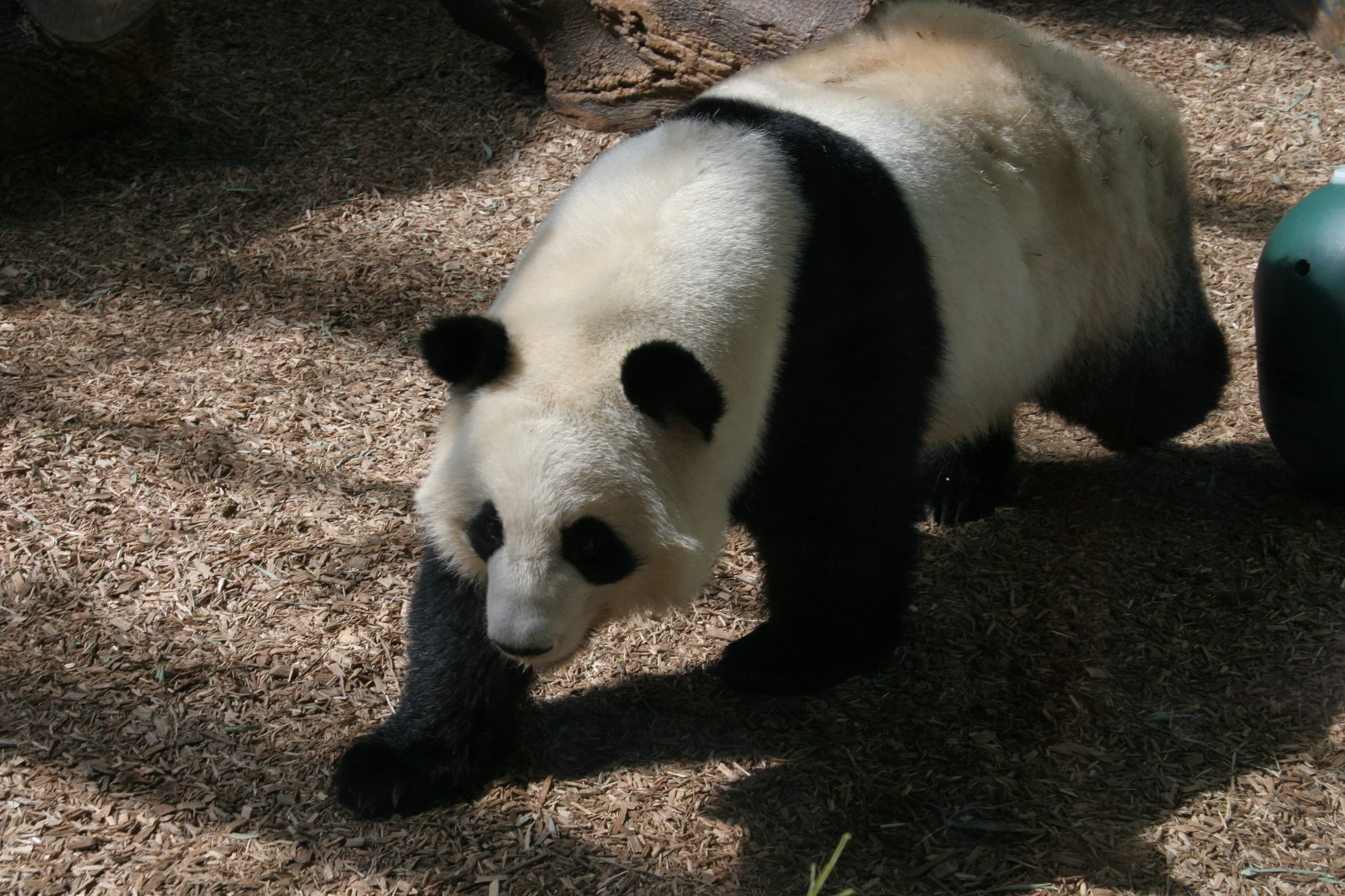 Zoo Atlanta
